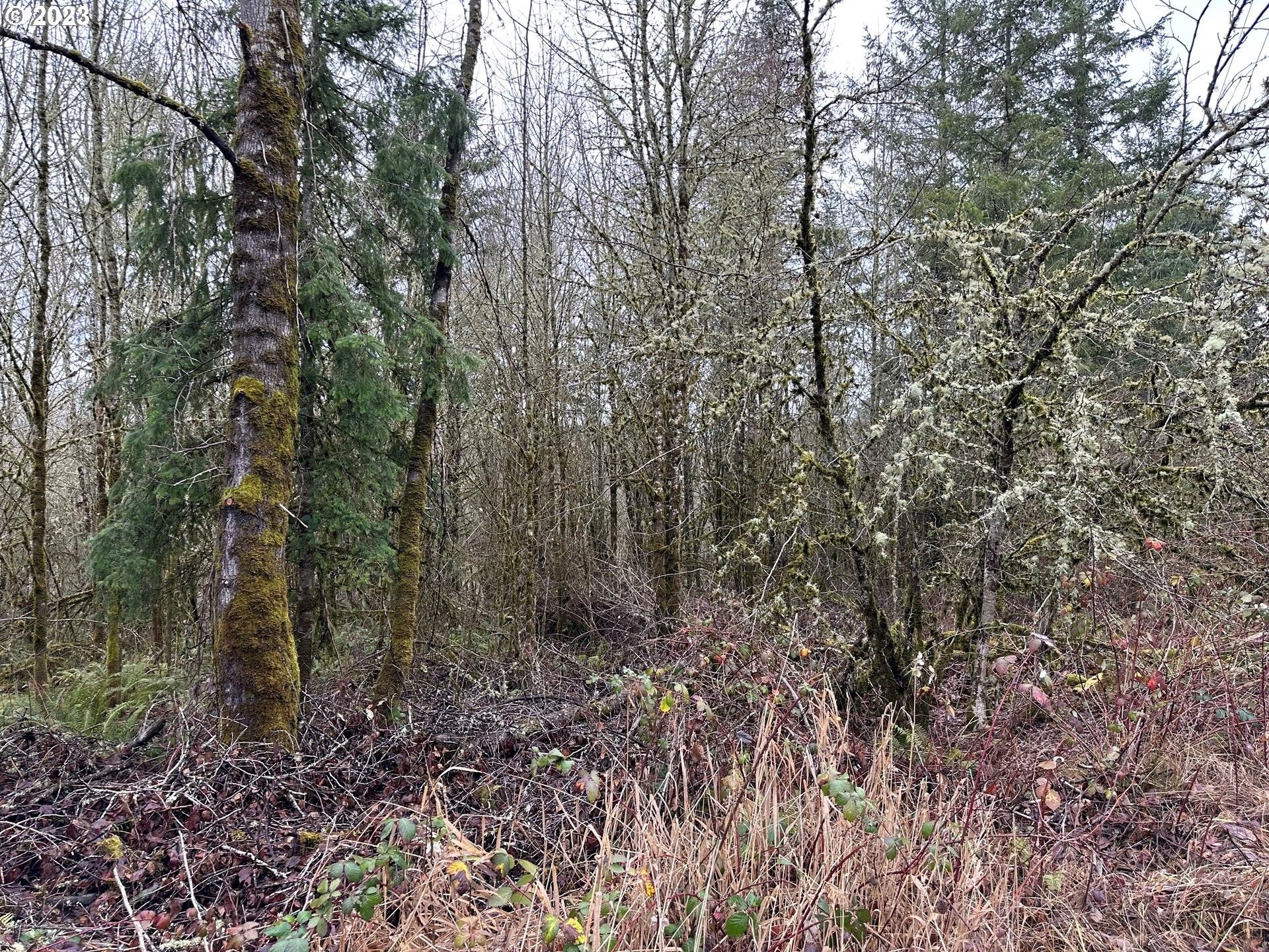 Castle Rock, Cowlitz County, WA Undeveloped Land for sale Property ID