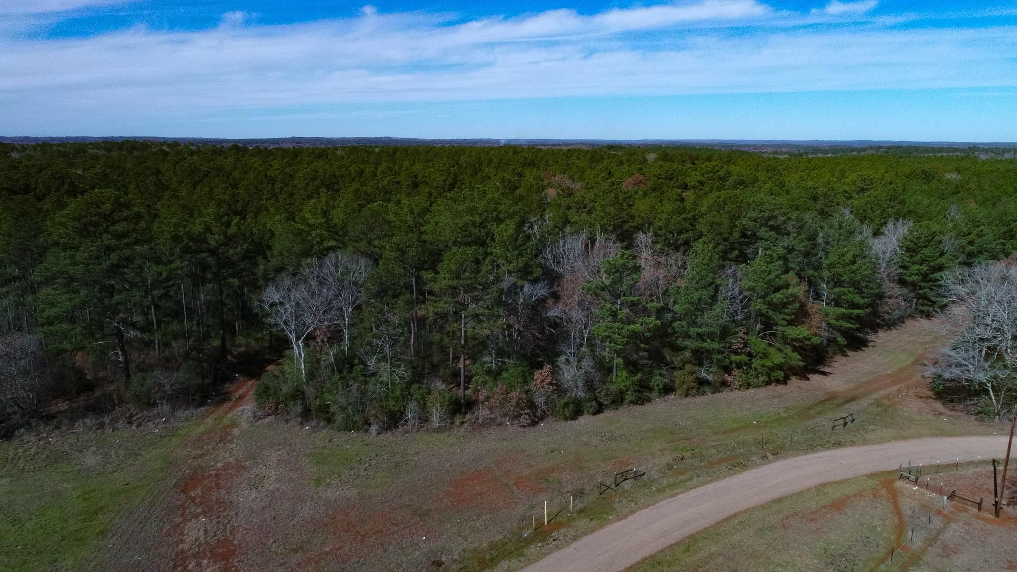 Palestine, Anderson County, TX Recreational Property, Timberland