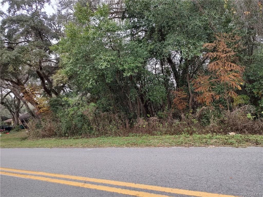 Inverness, Citrus County, FL Undeveloped Land, Lakefront Property