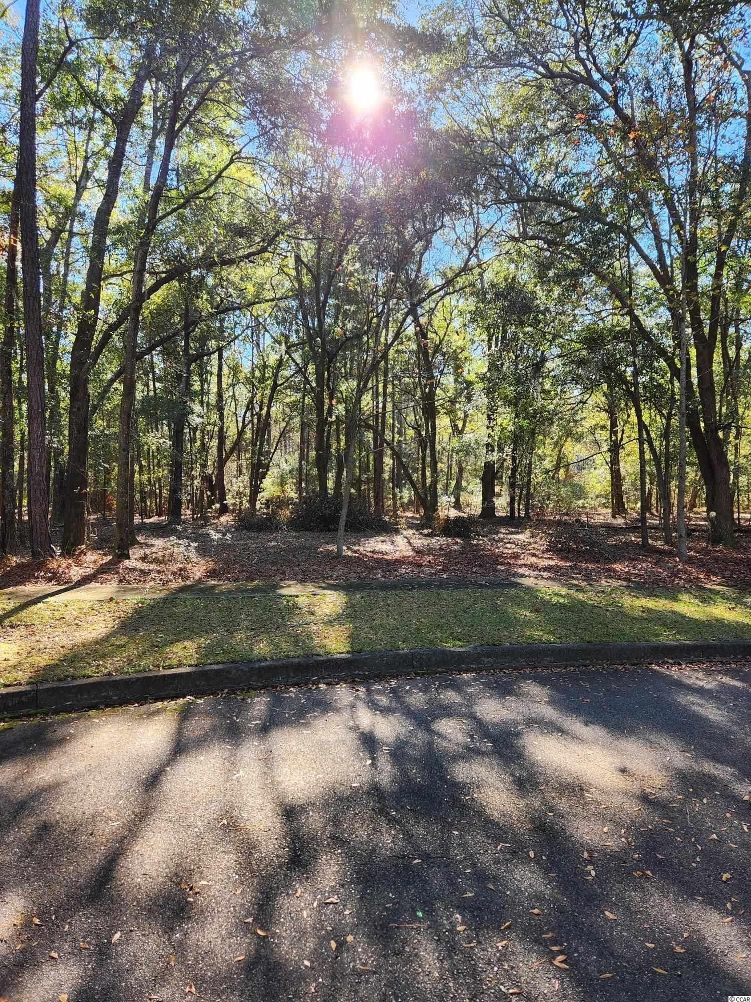 County, SC Undeveloped Land, Homesites for sale