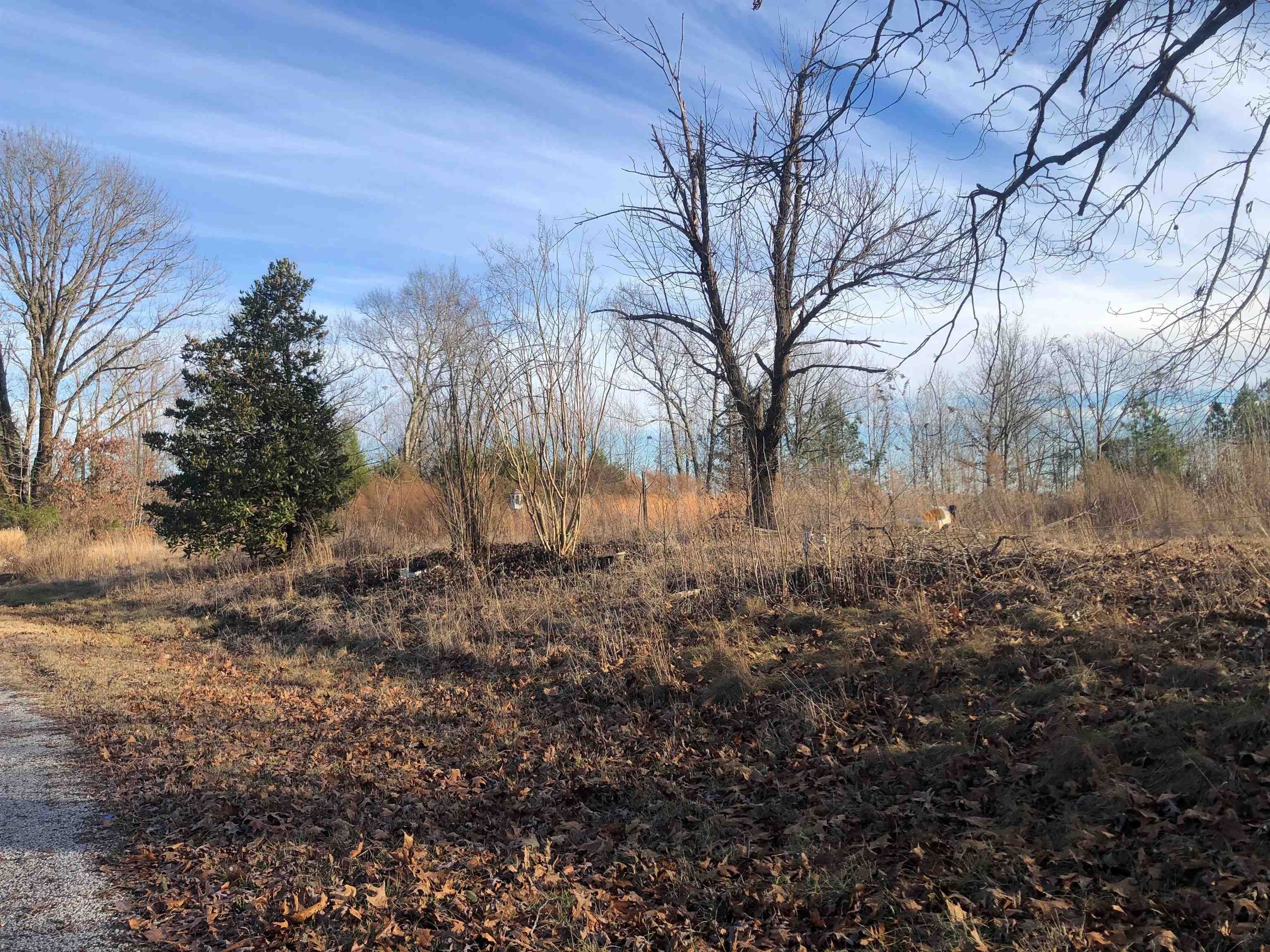 Decaturville, Decatur County, TN for sale Property ID 415537458