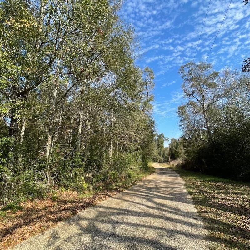 Tylertown, Walthall County, MS Recreational Property, Commercial