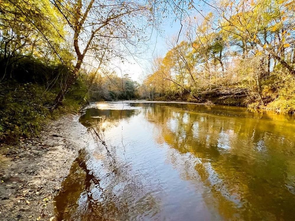 Tylertown, Walthall County, MS Recreational Property, Hunting Property