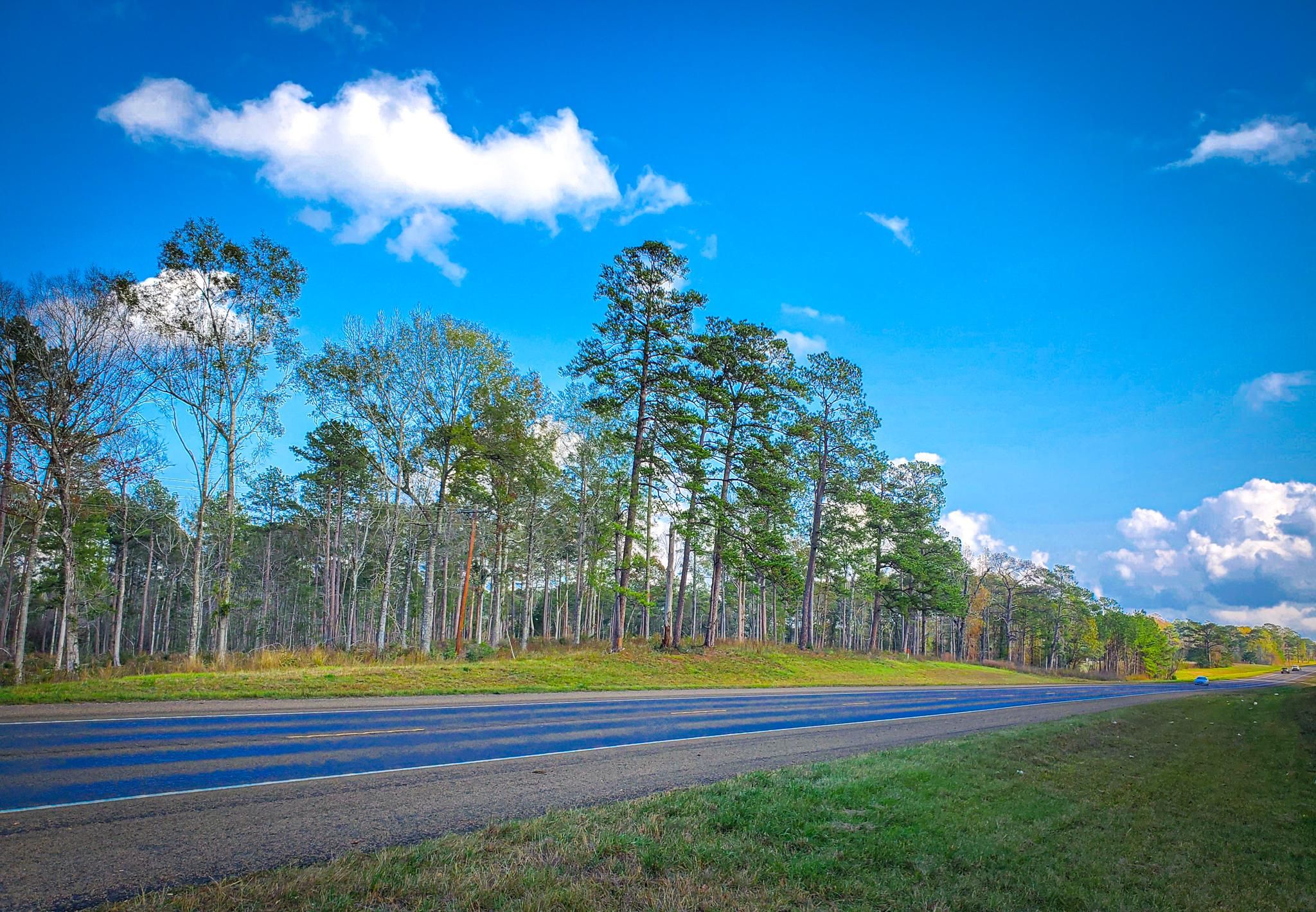 56 acres in Jasper, TX, 75951 MLS 56+/ Beautiful Hilltop acreage for sale near Jasp LandWatch