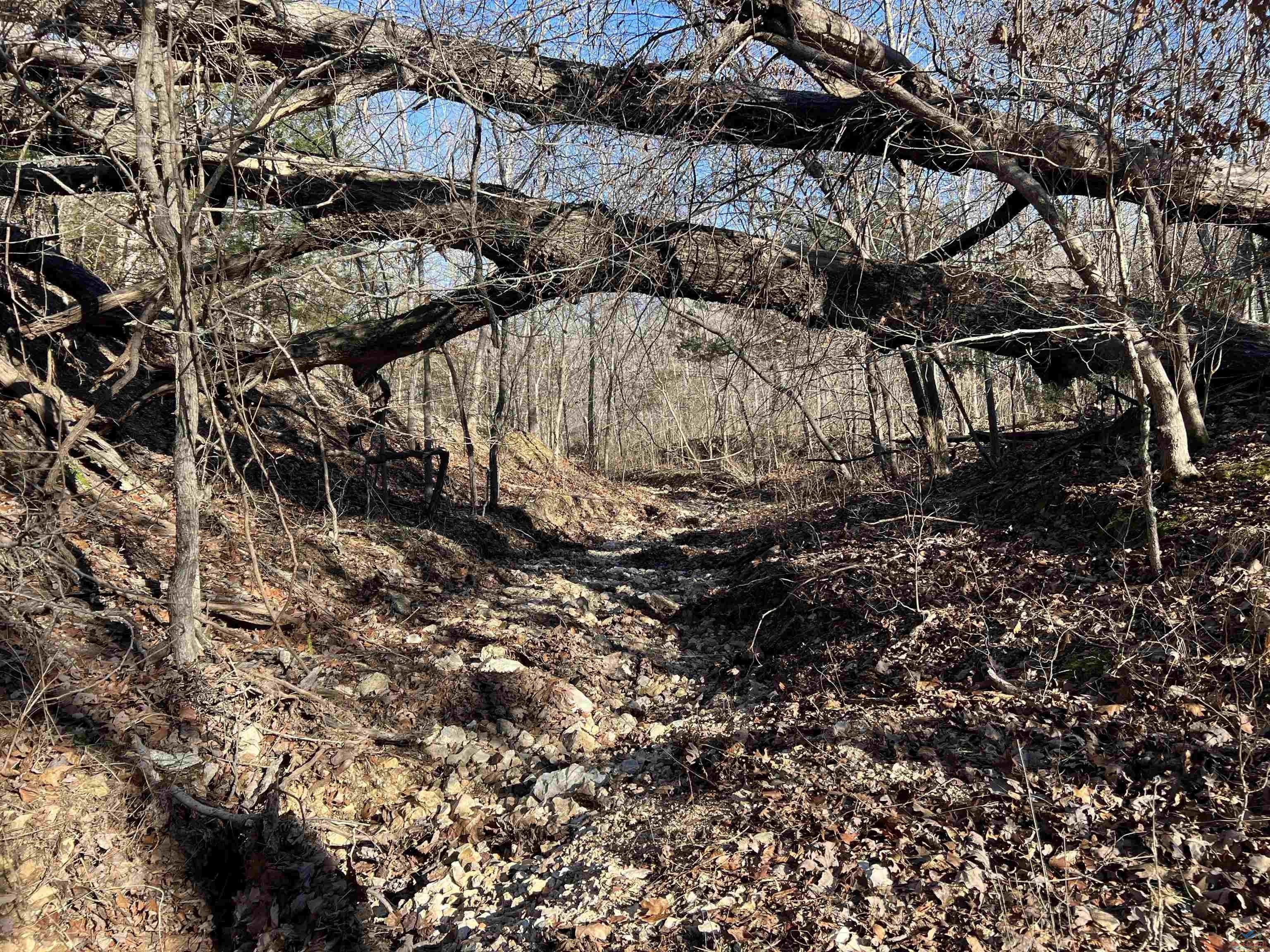 Purdy, Barry County, MO Undeveloped Land for sale Property ID