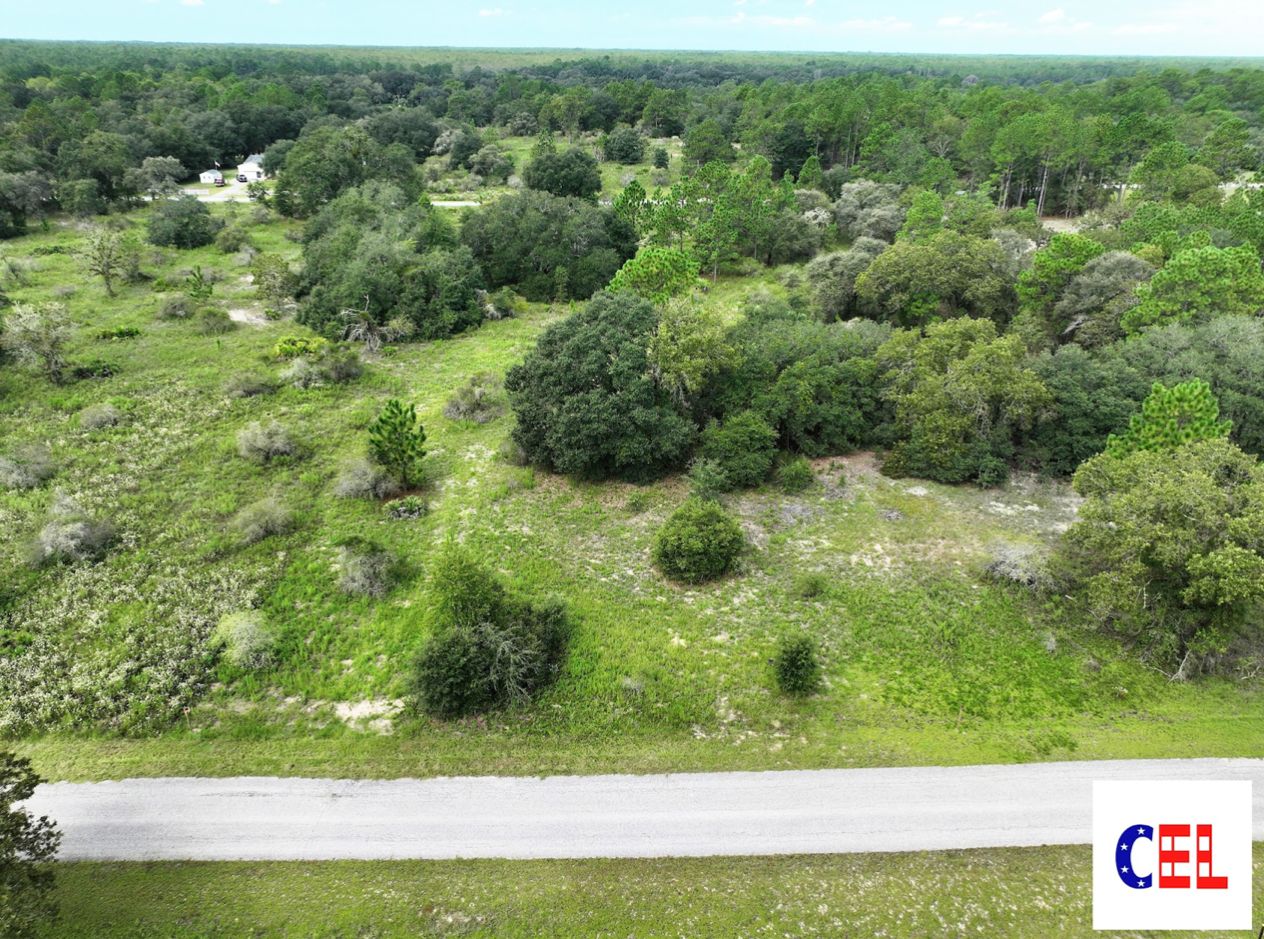 Dunnellon, Levy County, FL Undeveloped Land, Homesites for sale