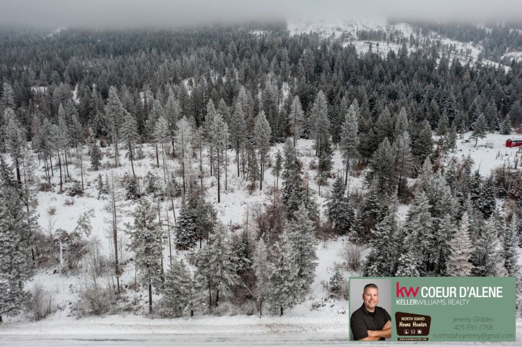 Plummer, Benewah County, ID Undeveloped Land, Homesites for sale