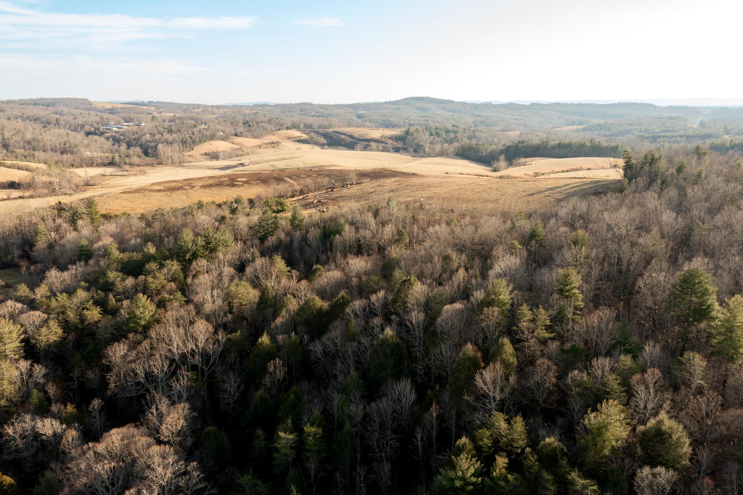 Traphill, Wilkes County, NC for sale Property ID 415549290 LandWatch