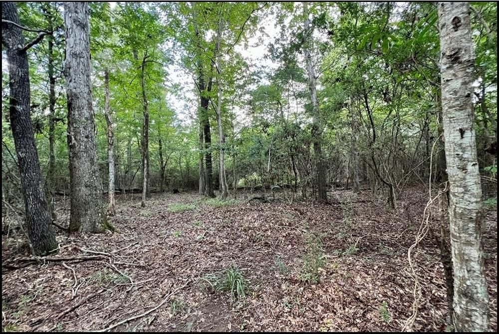 Bogue Chitto, Lincoln County, MS Recreational Property, Hunting