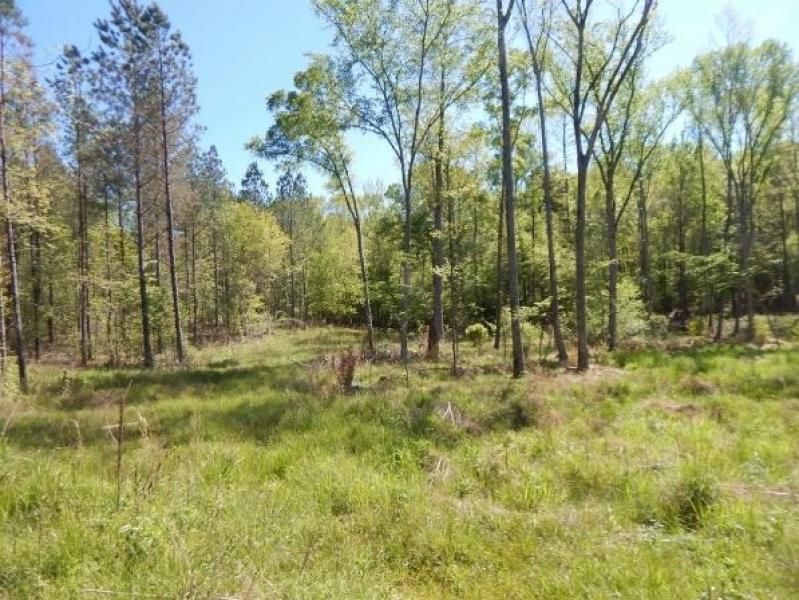 Carrollton, Carroll County, MS Recreational Property, Timberland