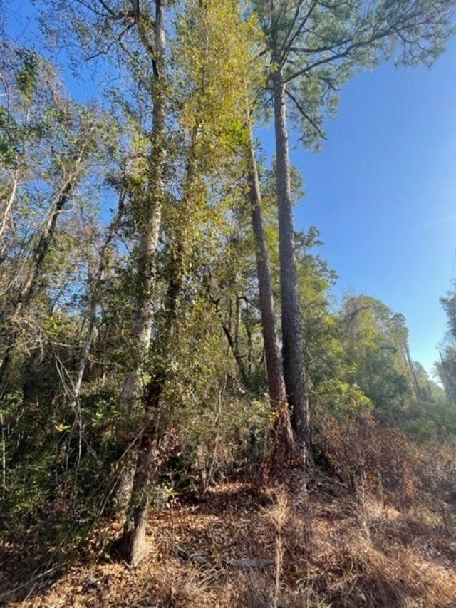 Jay, Santa Rosa County, FL Farms and Ranches, Homesites for sale