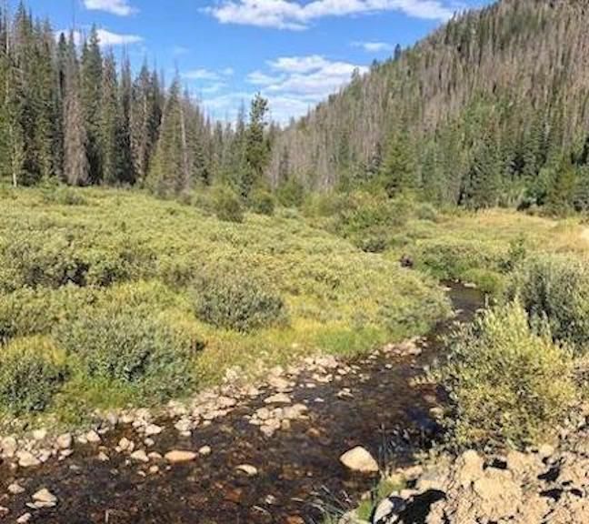 20 acres in Vail, CO, 81657 LandWatch