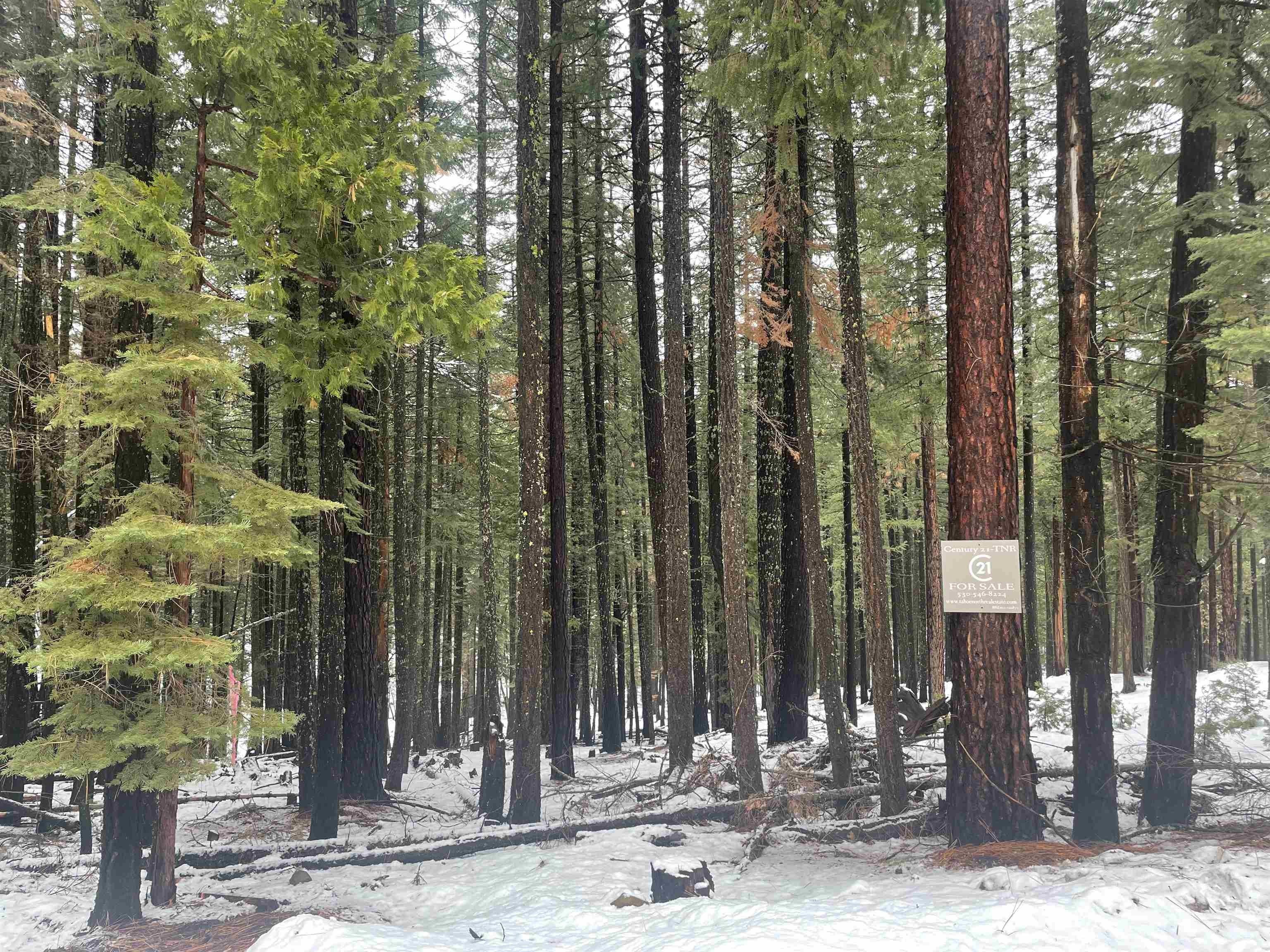 Quincy, Plumas County, CA Undeveloped Land, Lakefront Property