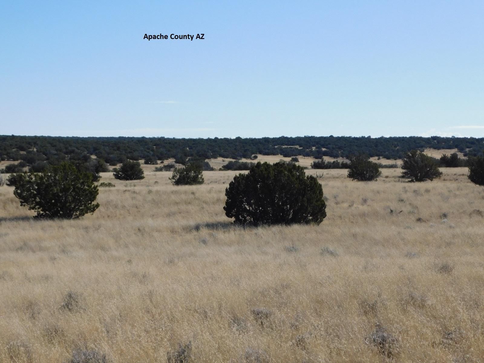 Chambers, Apache County, AZ Farms and Ranches, Undeveloped Land