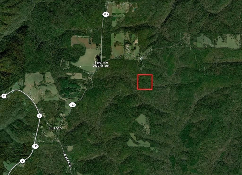 Lurton, Newton County, AR Undeveloped Land for sale Property ID