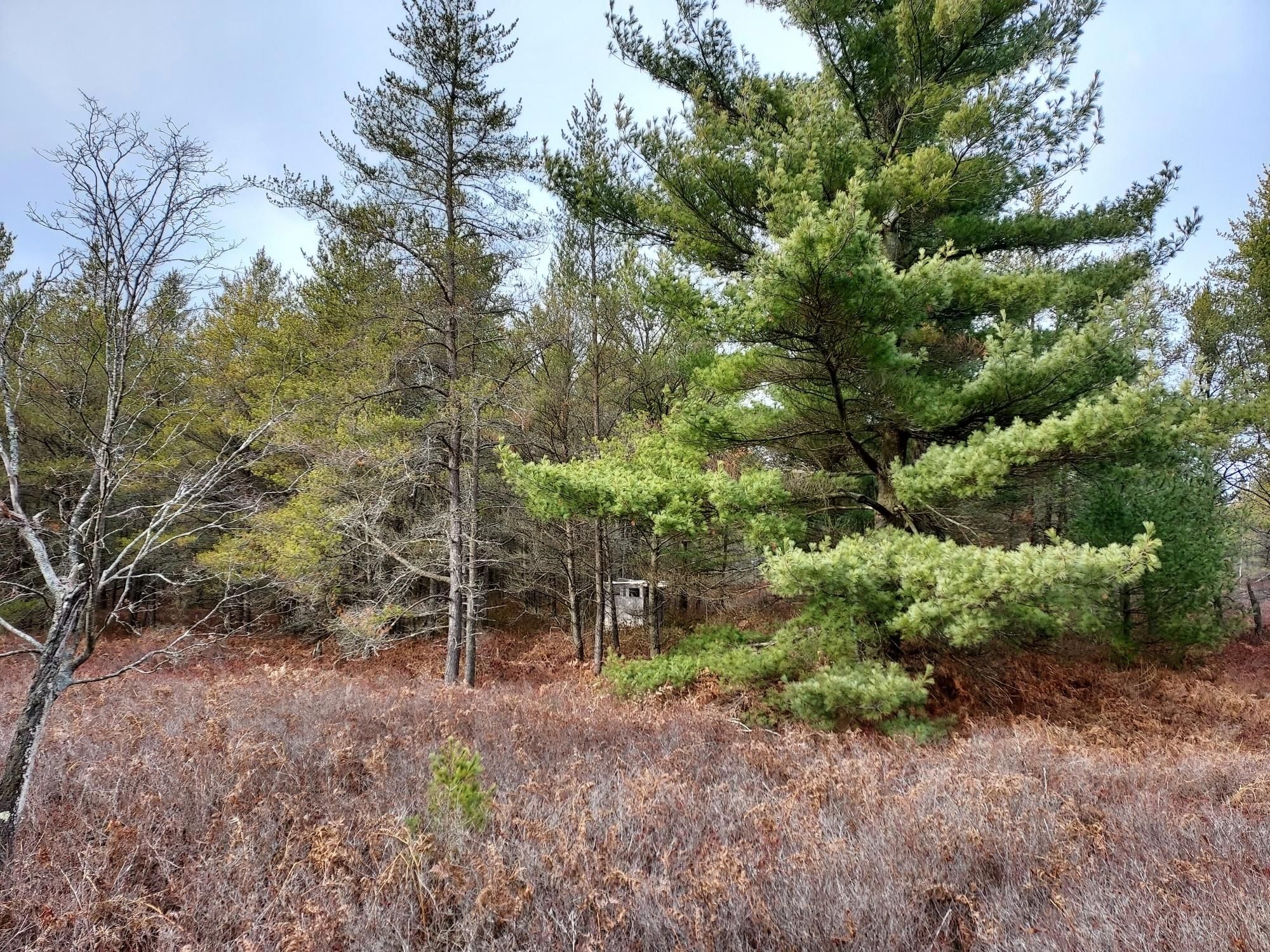 East Tawas, Iosco County, MI Recreational Property, Hunting Property