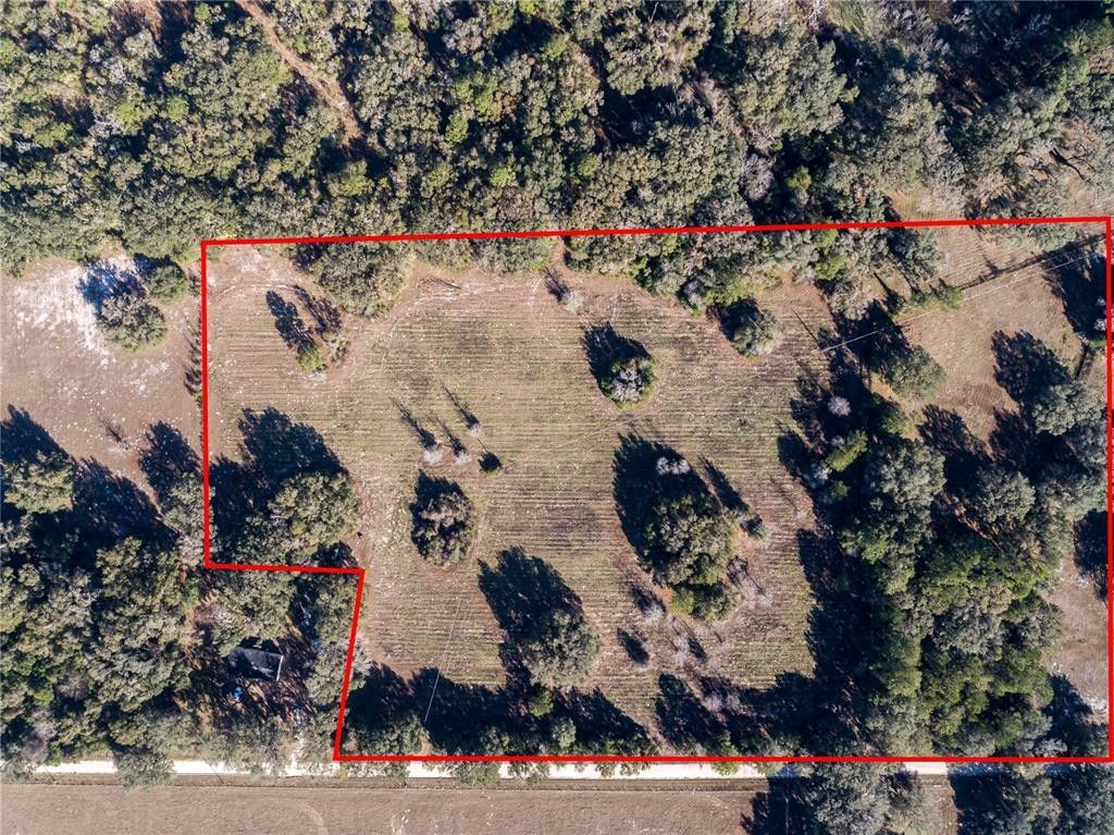 Williston, Levy County, FL Farms and Ranches for sale Property ID