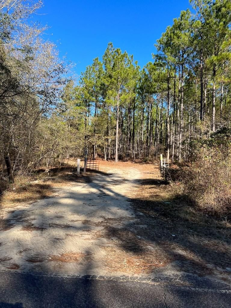 Cordele, Crisp County, GA Recreational Property, Timberland Property