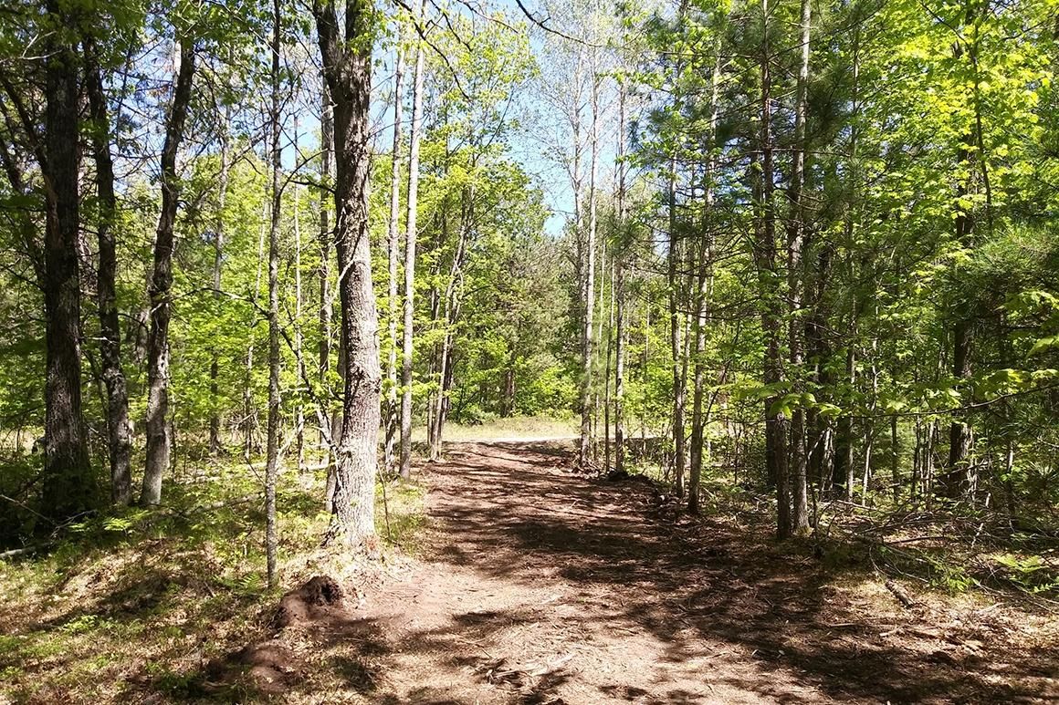 Beecher, County, WI Recreational Property, Hunting Property