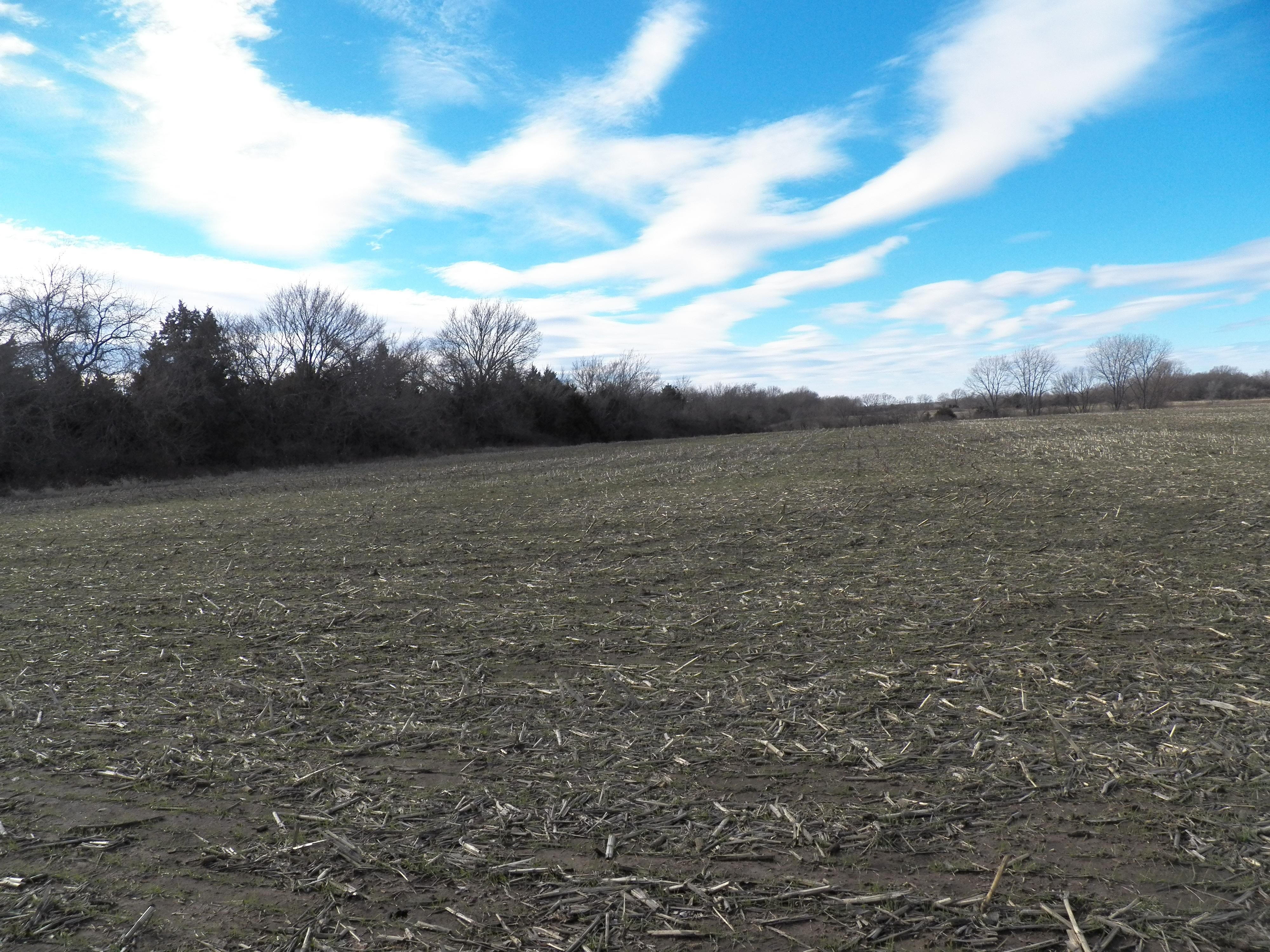 Kincaid, Allen County, KS Farms and Ranches for sale Property ID 415561330 LandWatch
