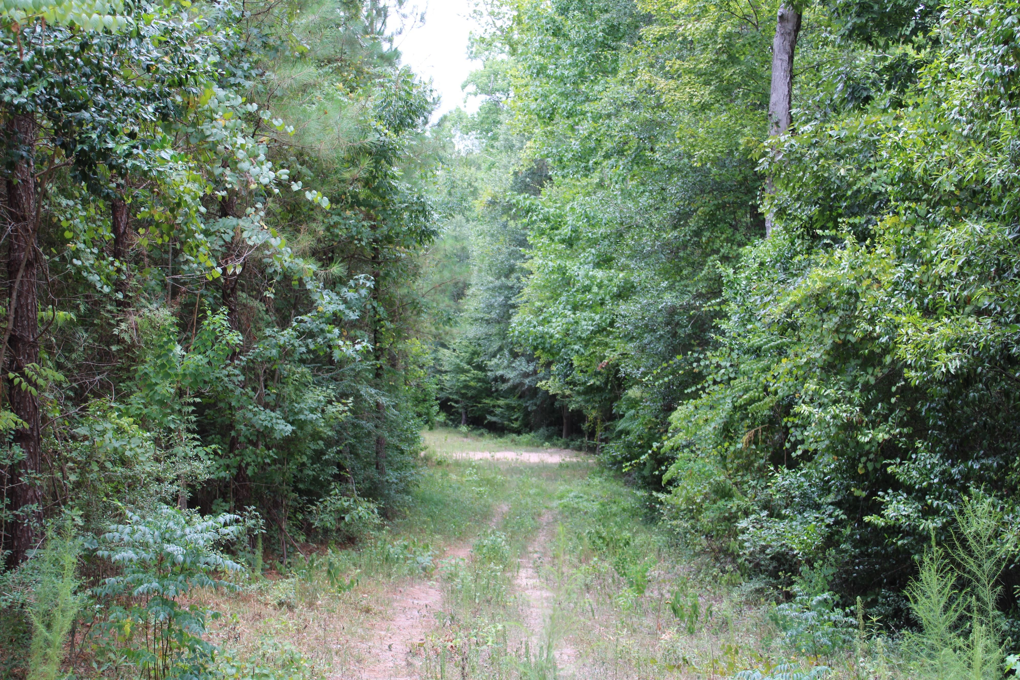 Duff Rd, Livingston, TX 77351 | MLS: 5104950 | LandWatch