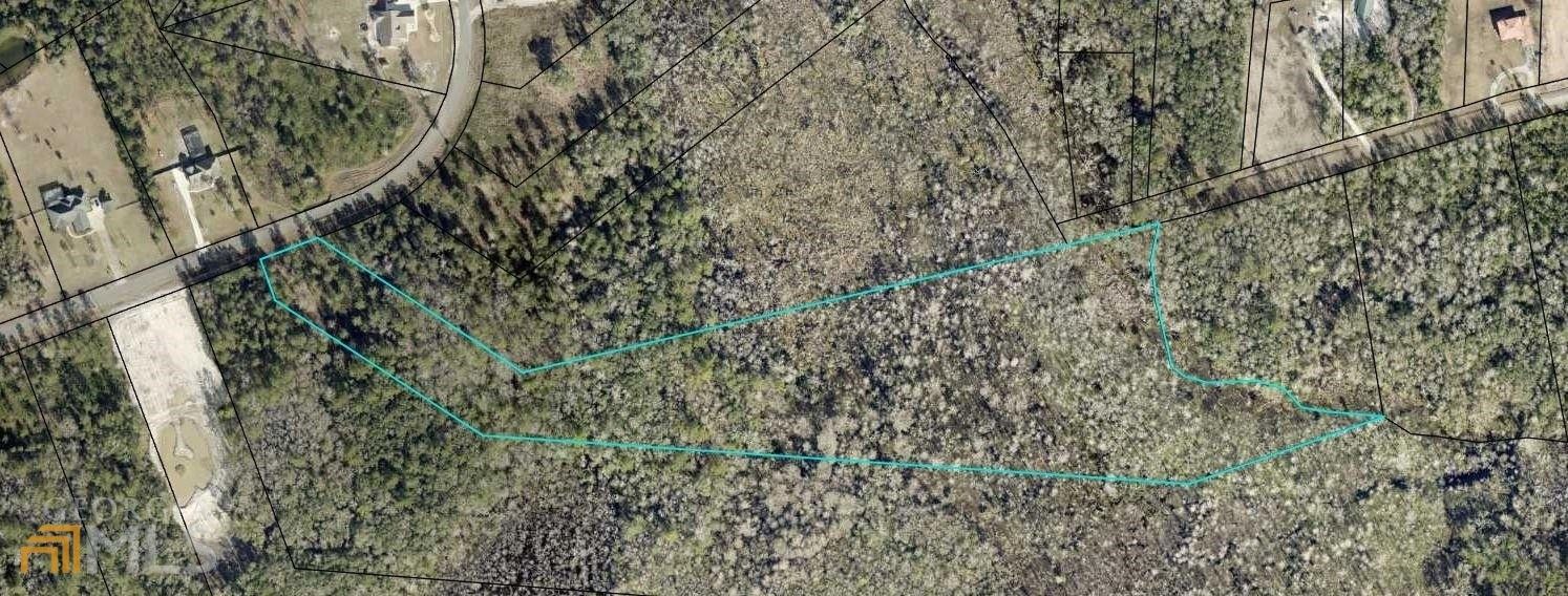 Kingsland, Camden County, GA Undeveloped Land for sale Property ID 415563057 LandWatch