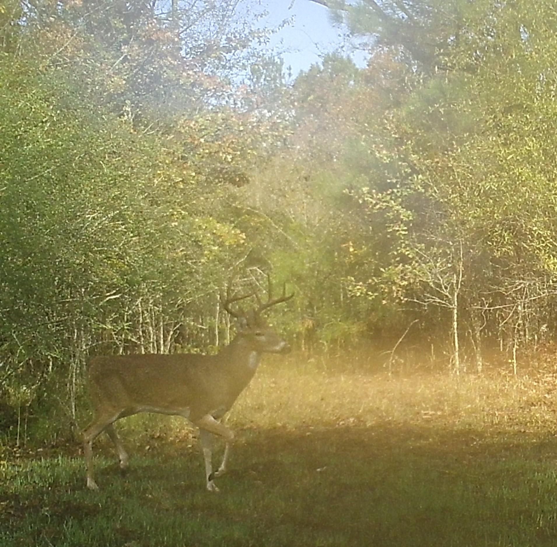 Texarkana, Bowie County, TX Farms and Ranches, Recreational Property