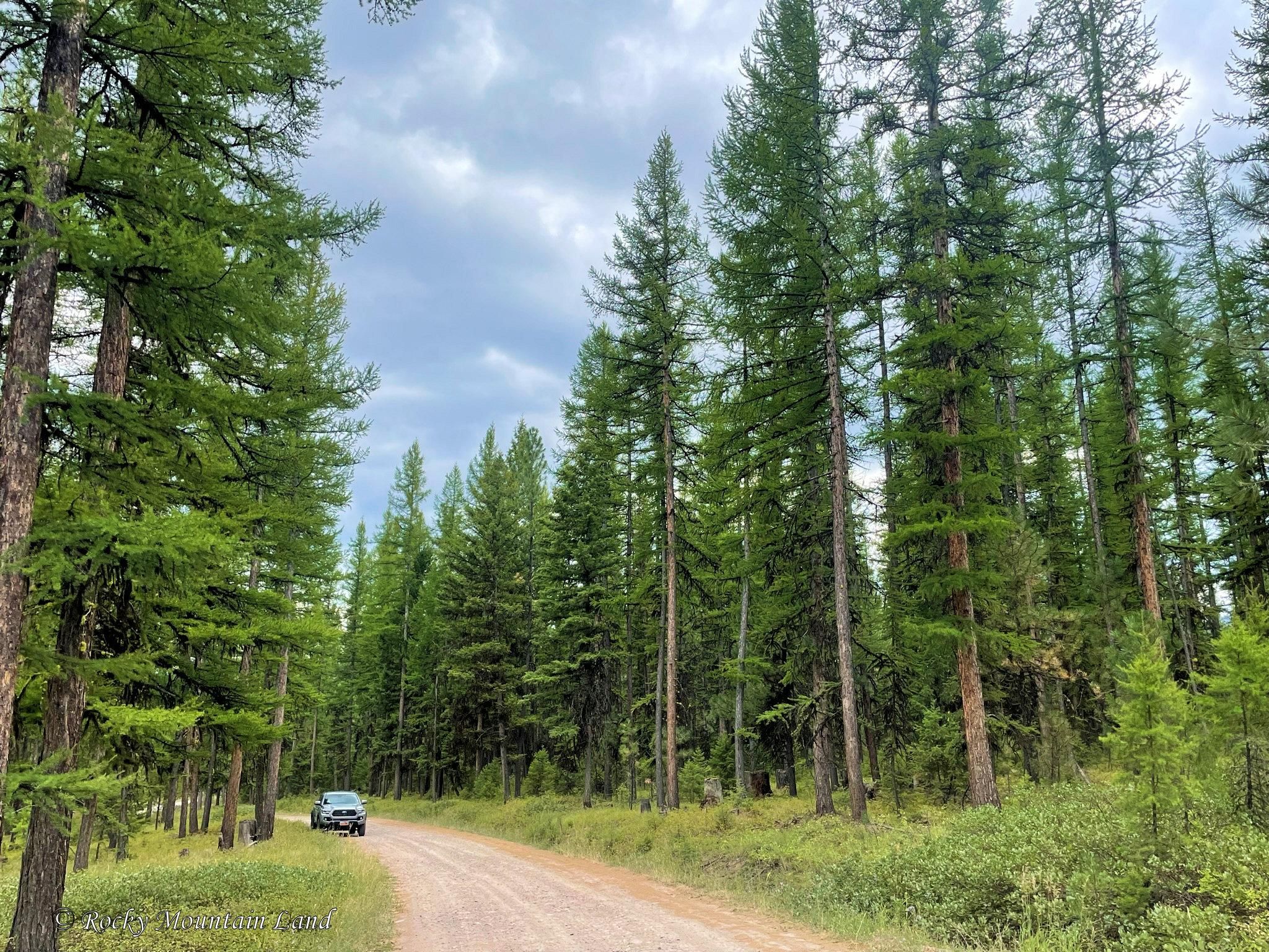 Potomac, Missoula County, MT Recreational Property, Undeveloped Land