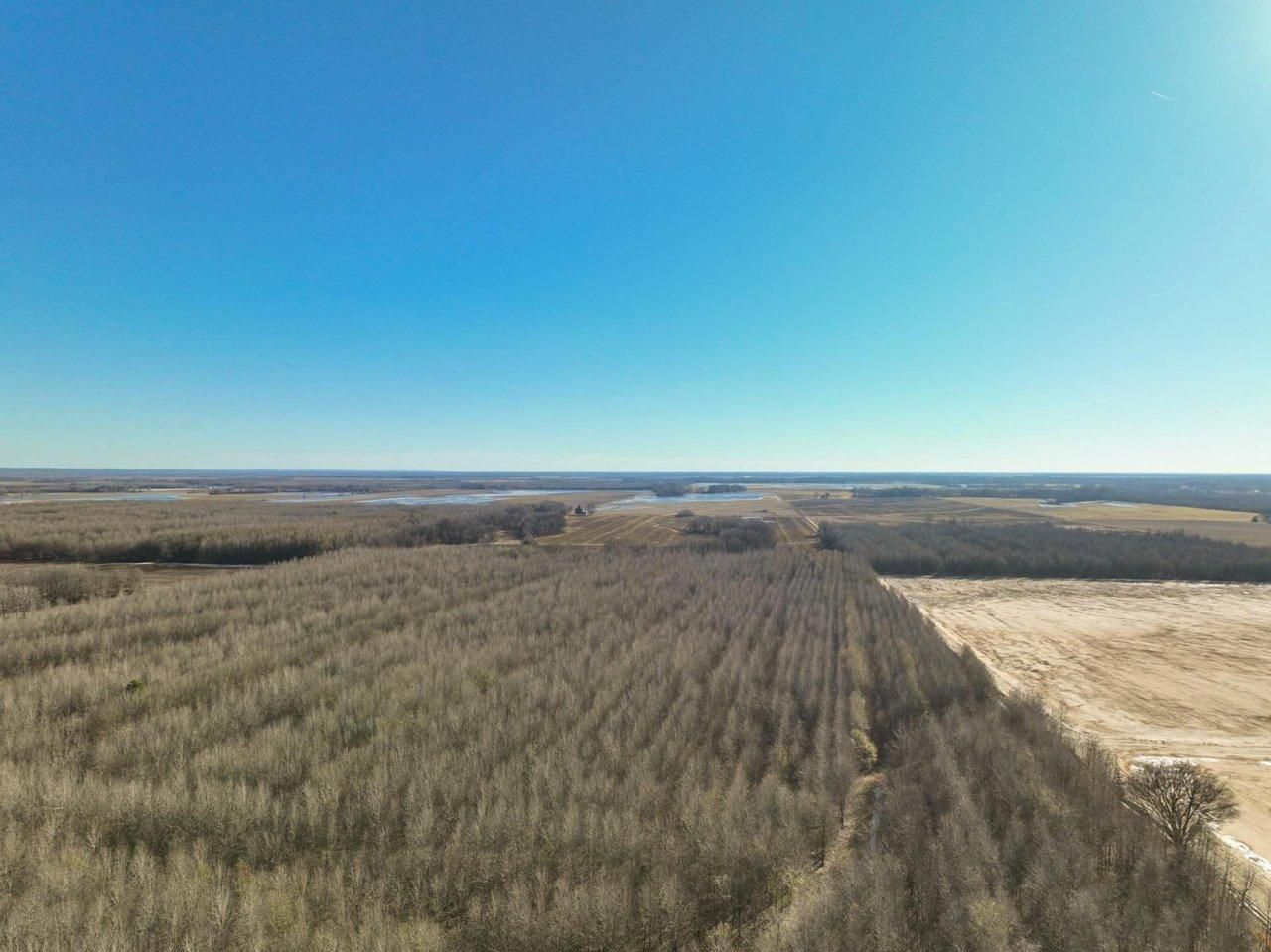 Shelton Road, Lambert, MS 38643 LandWatch