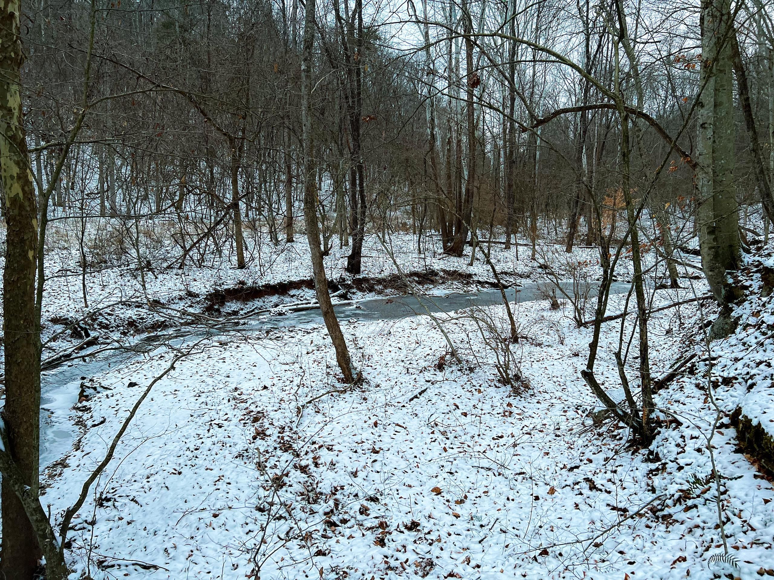 Tate, Braxton County, WV Recreational Property, Timberland Property