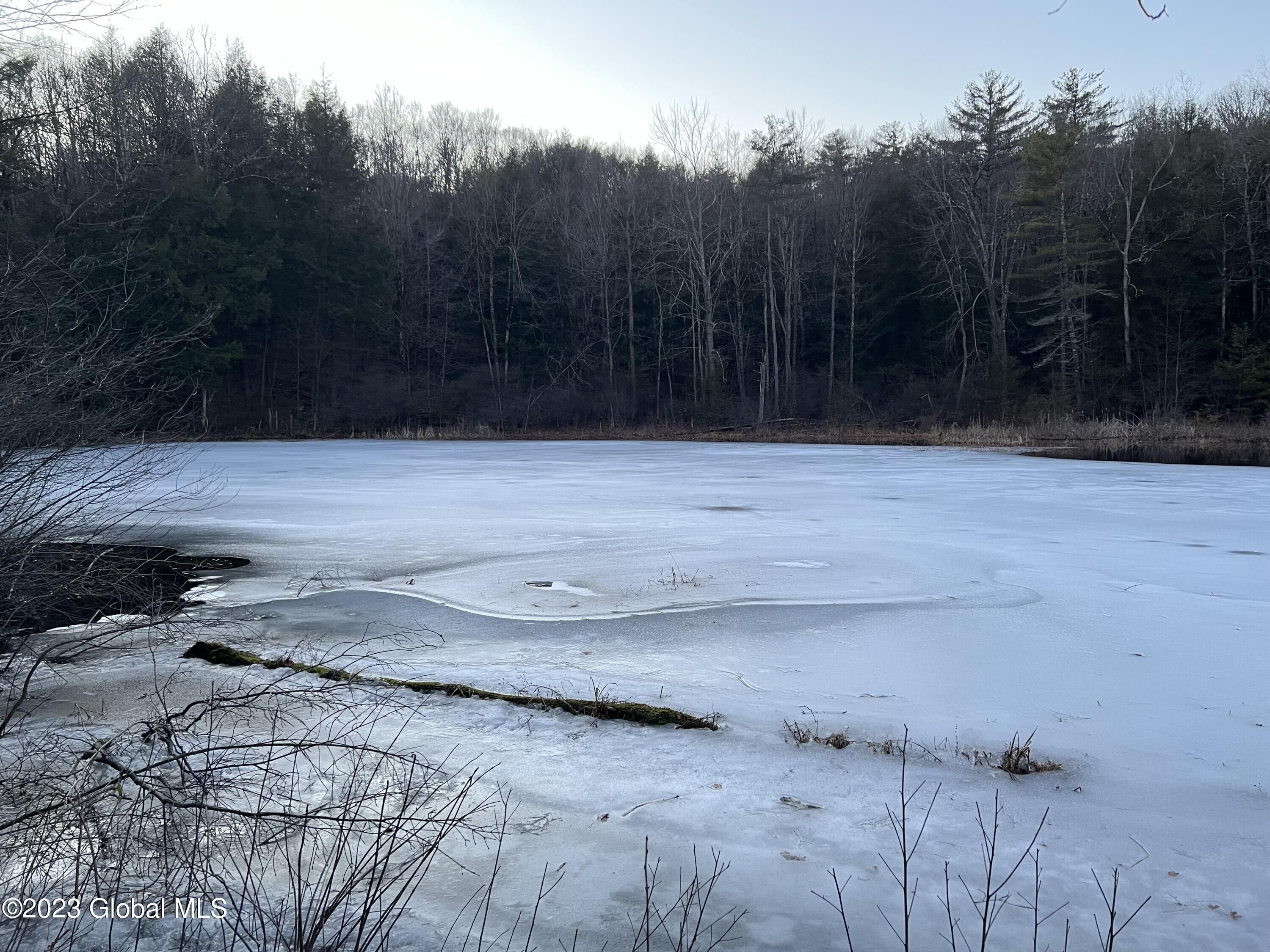 Whitehall, Washington County, NY Undeveloped Land for sale Property ID