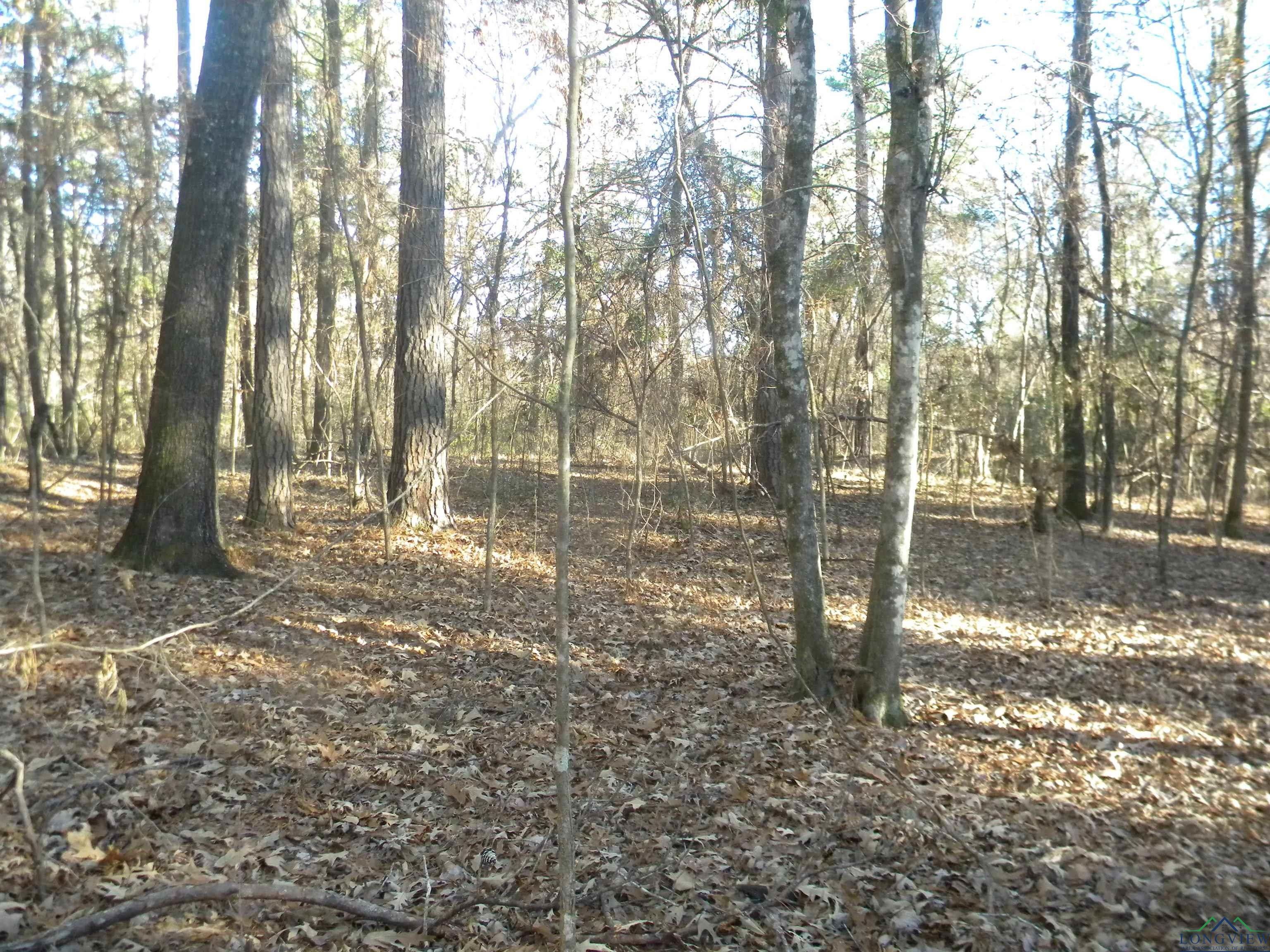 Ratcliff, Houston County, TX Recreational Property, Undeveloped Land