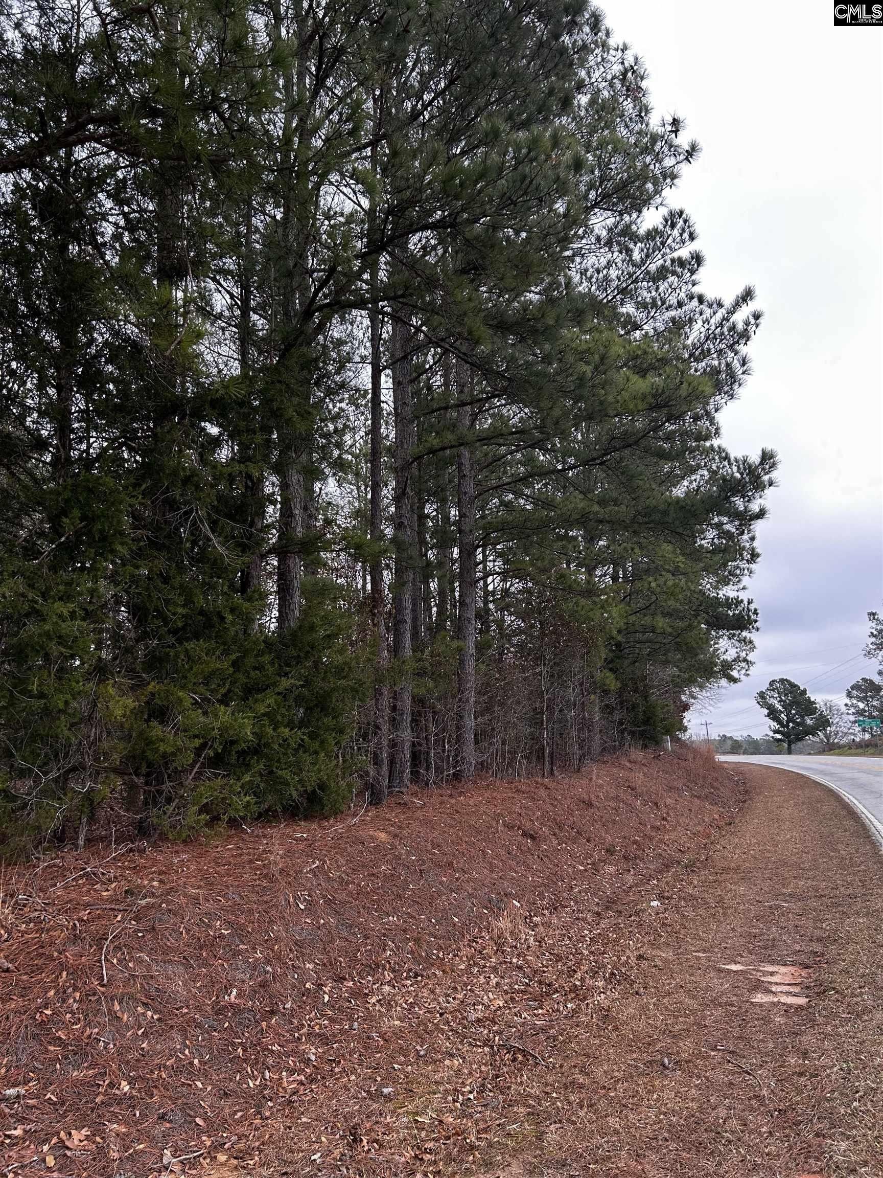 Blair, Fairfield County, SC Undeveloped Land, Homesites for sale