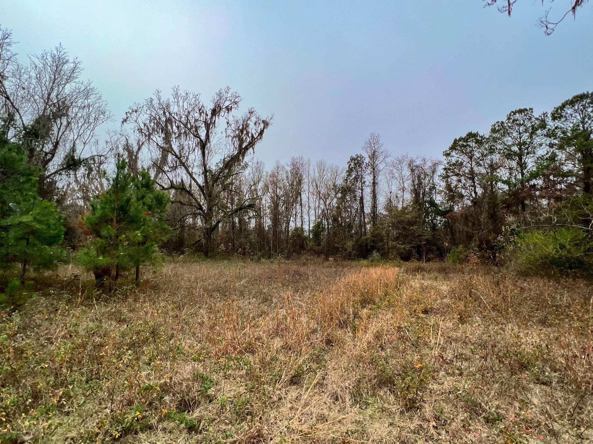Vacant S Salt Rd, Monticello, FL 32344 MLS 354131 LandWatch