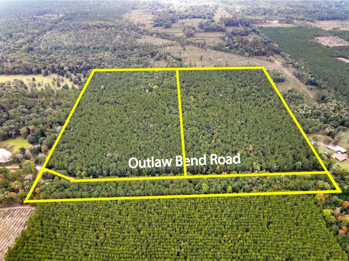 Livingston, Polk County, TX Farms and Ranches, Undeveloped Land