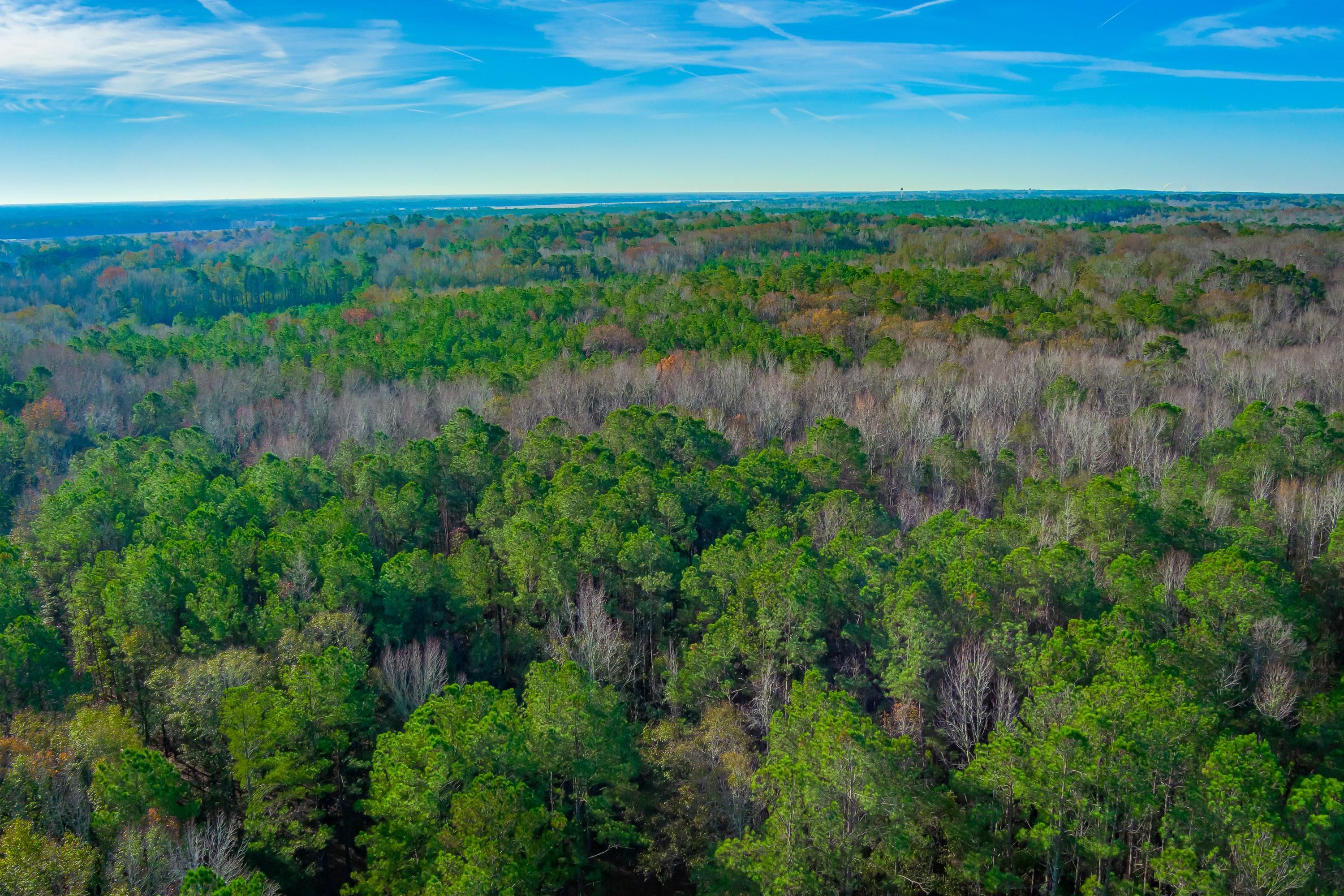 Red Lane Road, Dalzell, SC 29040 LandWatch