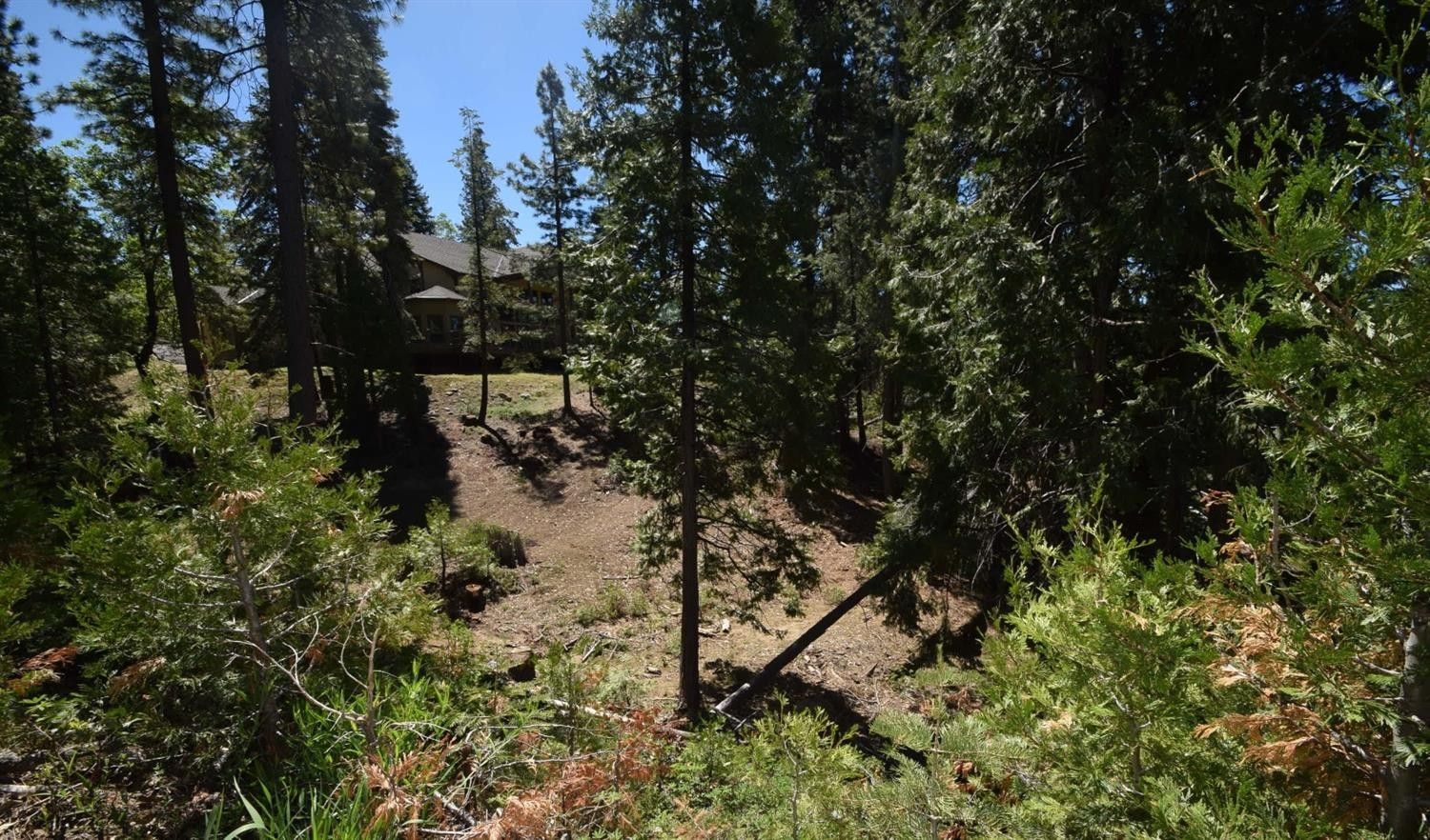 Shaver Lake, Fresno County, CA Undeveloped Land, Homesites for sale