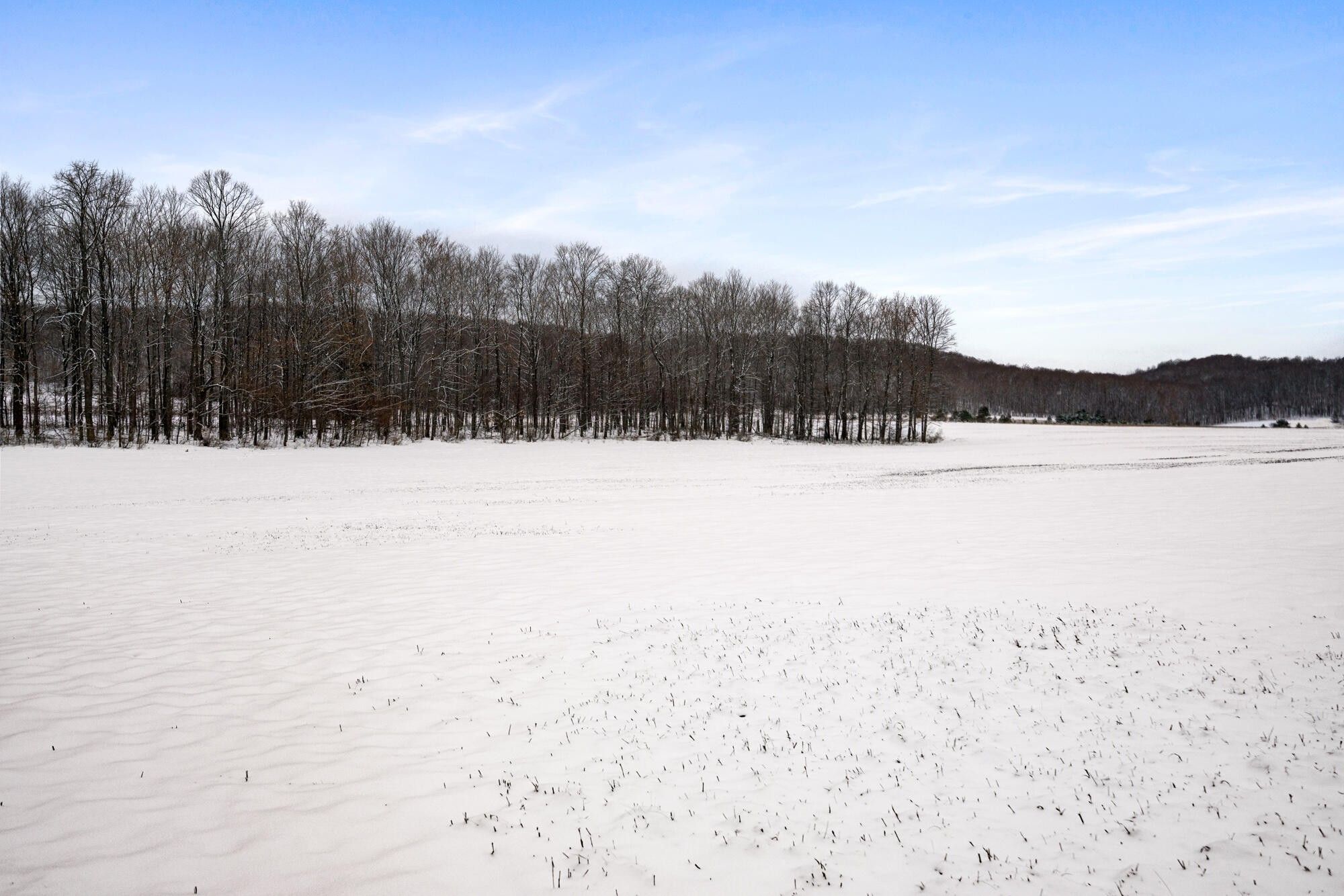 Pellston, Emmet County, MI Undeveloped Land for sale Property ID