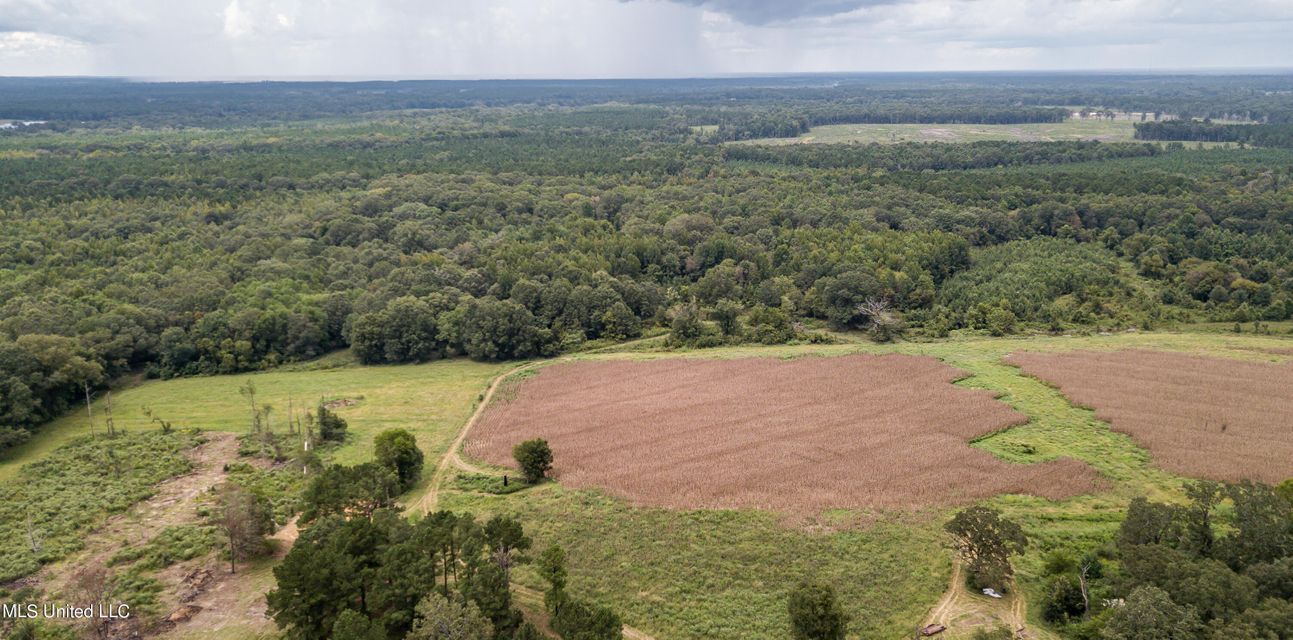 Pelahatchie, Rankin County, MS Farms and Ranches, Undeveloped Land
