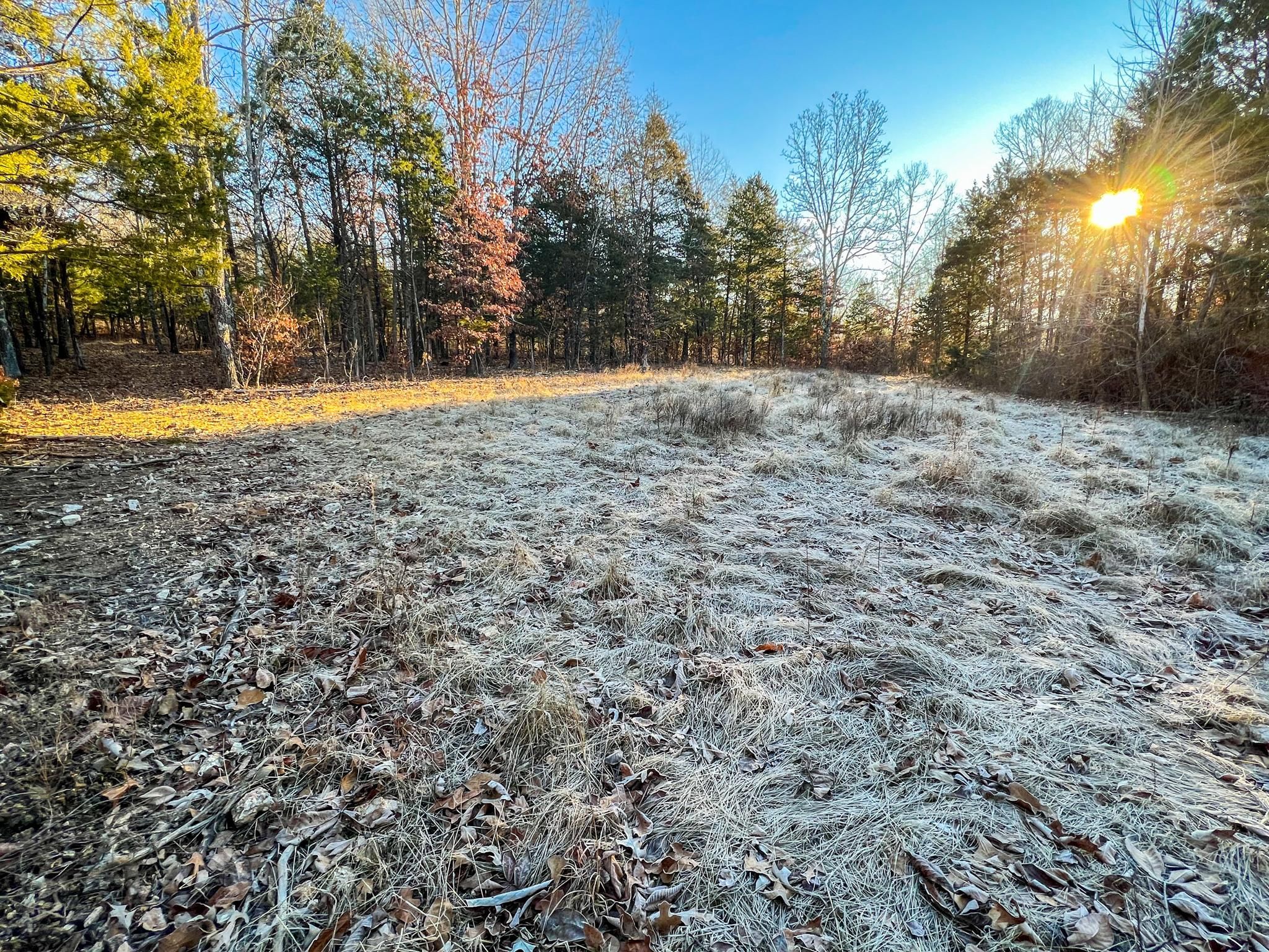Mammoth Spring, Fulton County, AR Recreational Property, Timberland