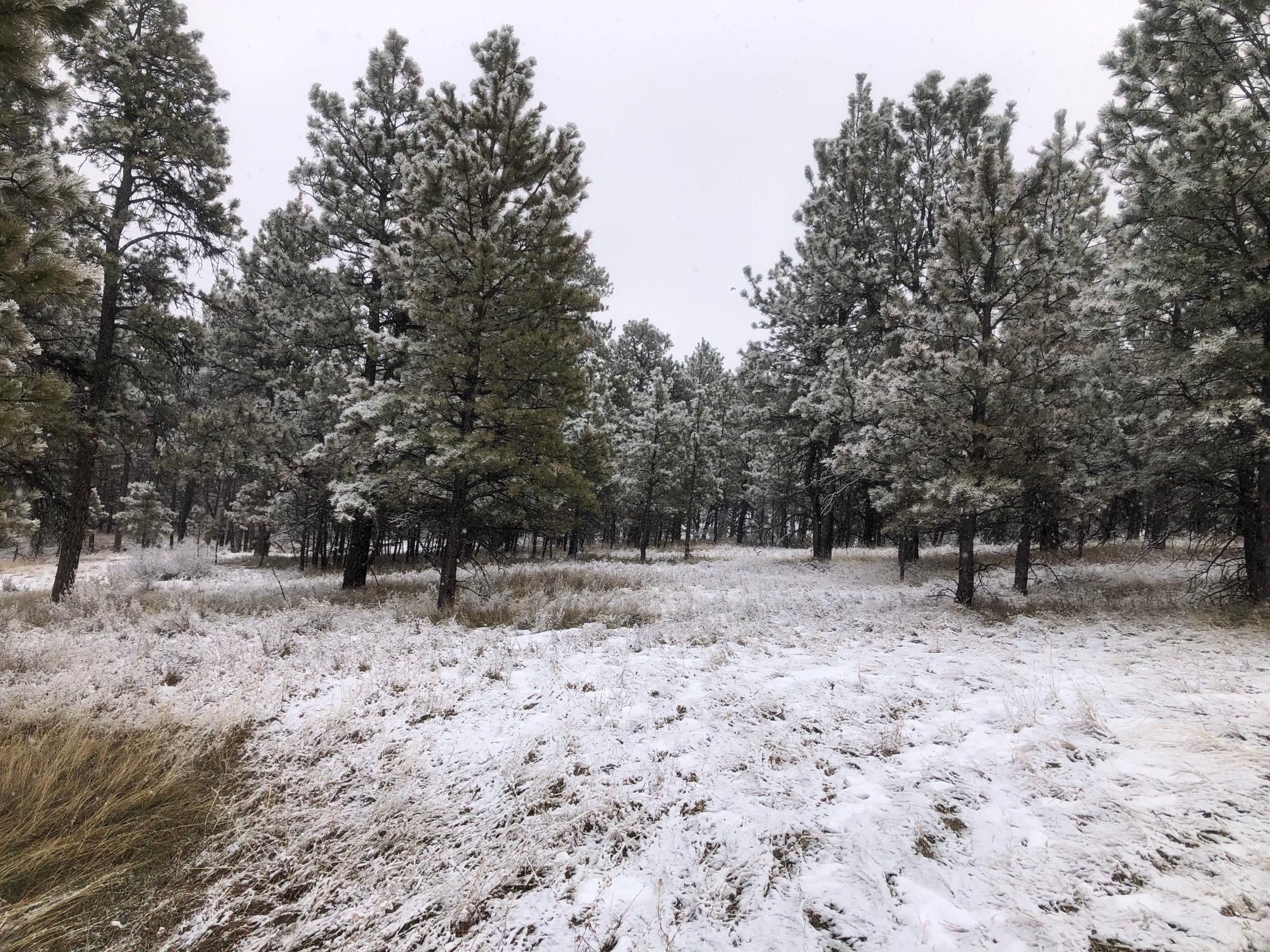 Roundup, Musselshell County, MT Recreational Property, Undeveloped Land