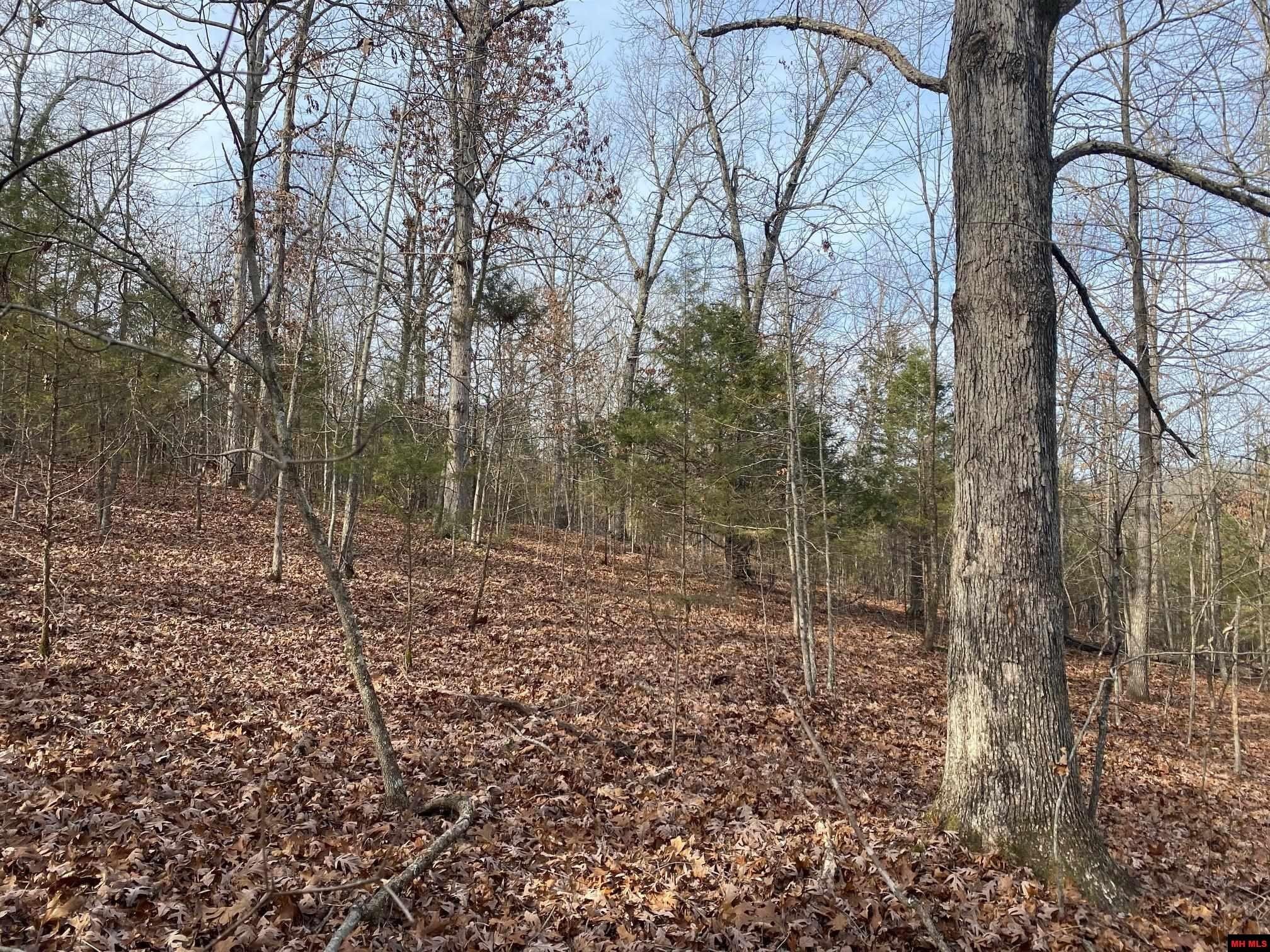 Mountain Home, Baxter County, AR Undeveloped Land for sale Property ID