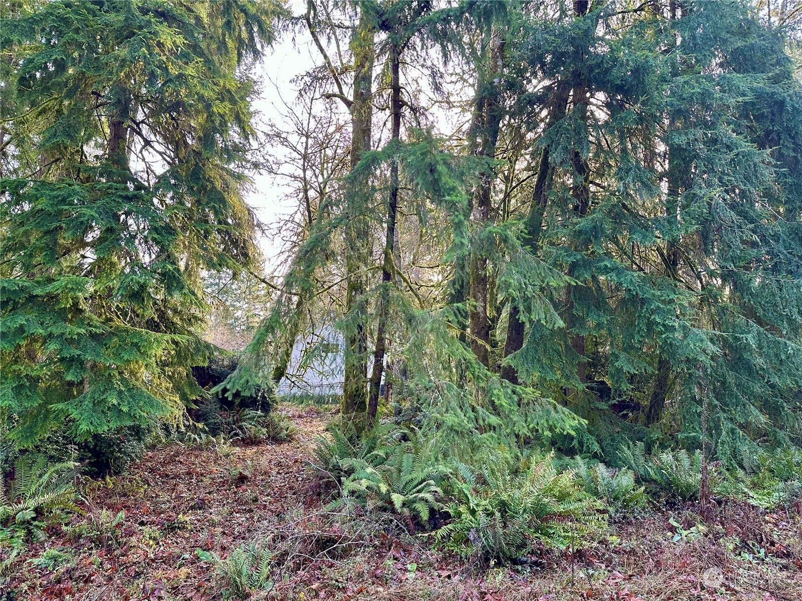 Anderson Island, Pierce County, WA Undeveloped Land, Homesites for sale