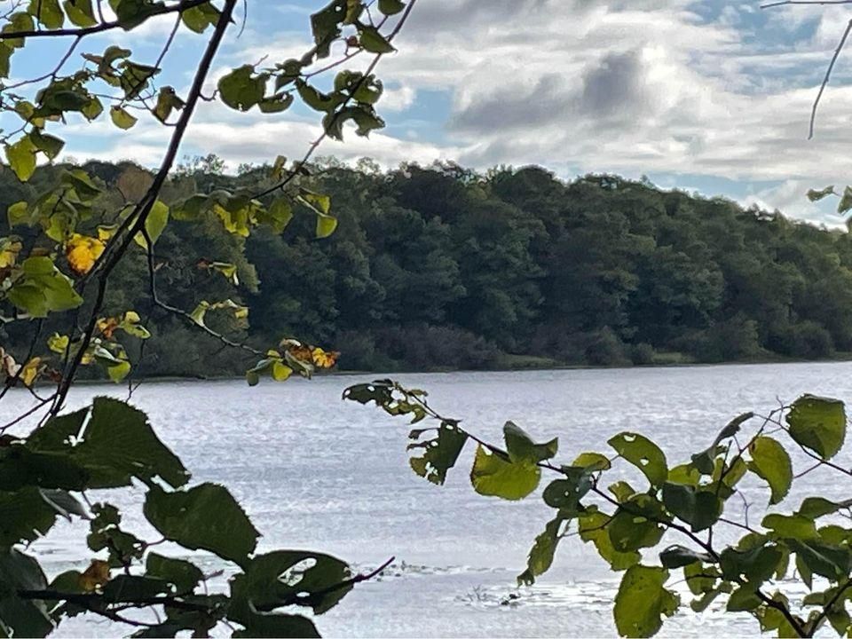Turtle Lake, Polk County, WI Recreational Property, Undeveloped Land