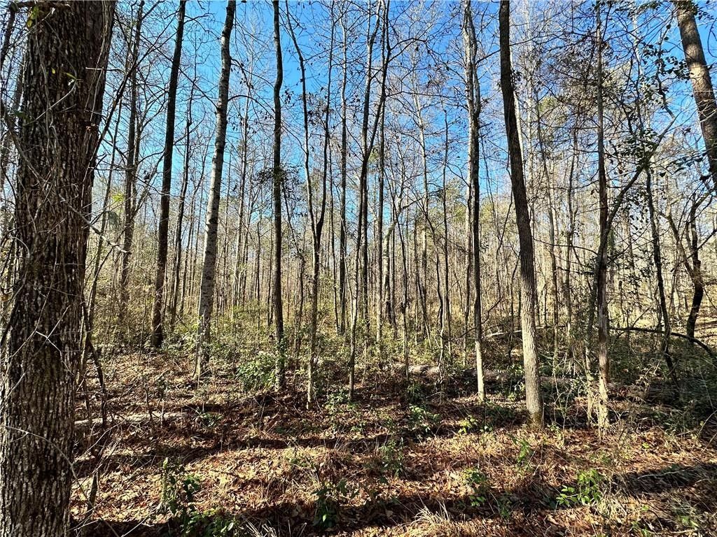 Auburn, Lee County, AL Undeveloped Land, Homesites for sale Property ID