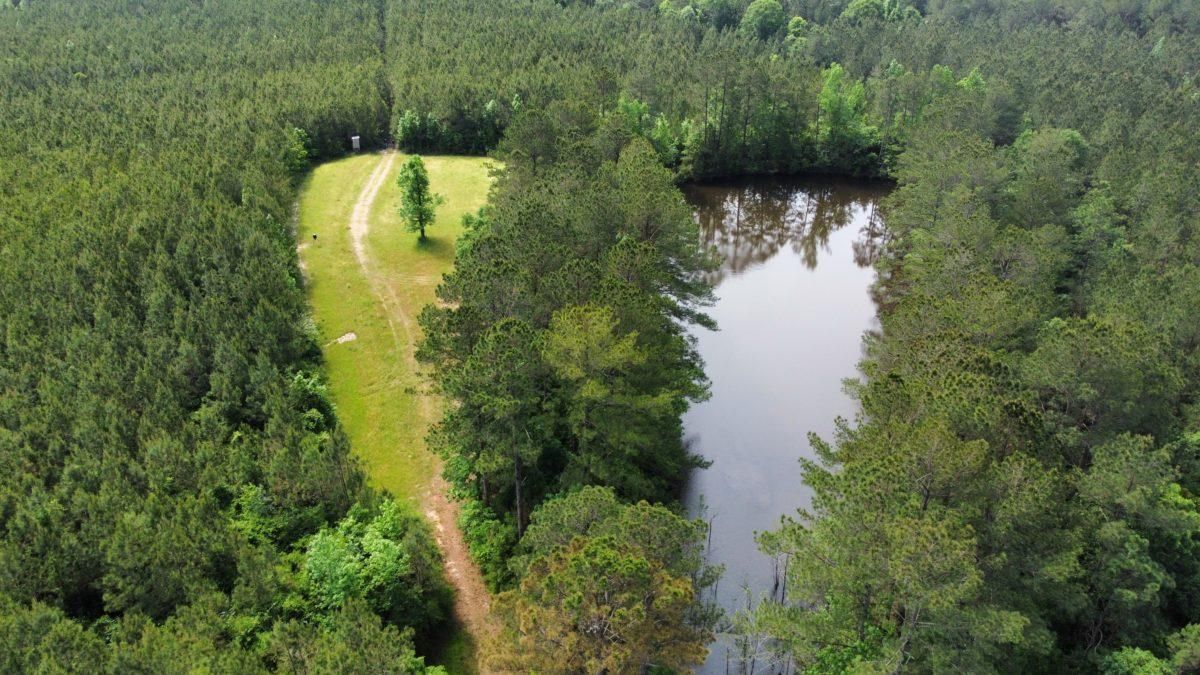 Jackson, Jefferson Davis County, MS Farms and Ranches, Homesites for