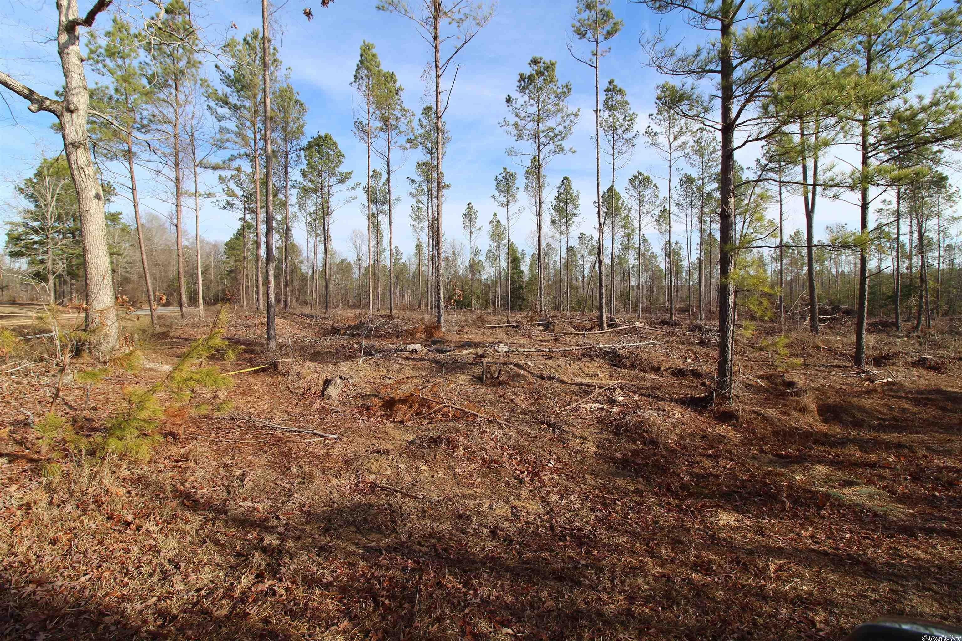 Sheridan, Grant County, AR Undeveloped Land for sale Property ID