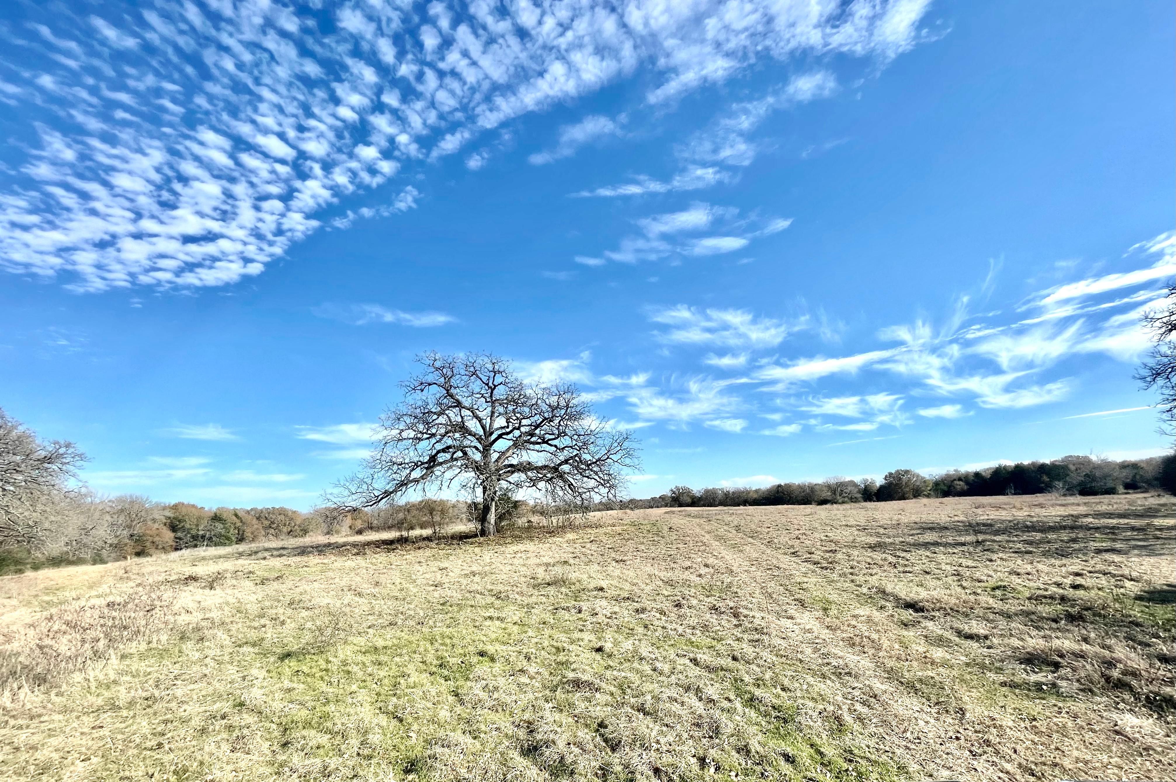 Streetman, Freestone County, TX Recreational Property, Undeveloped Land