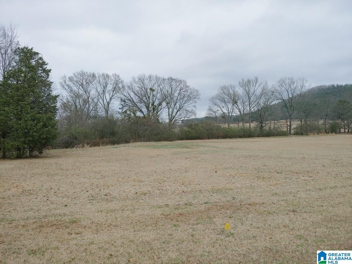 Sylacauga, Talladega County, AL Undeveloped Land, Homesites for sale
