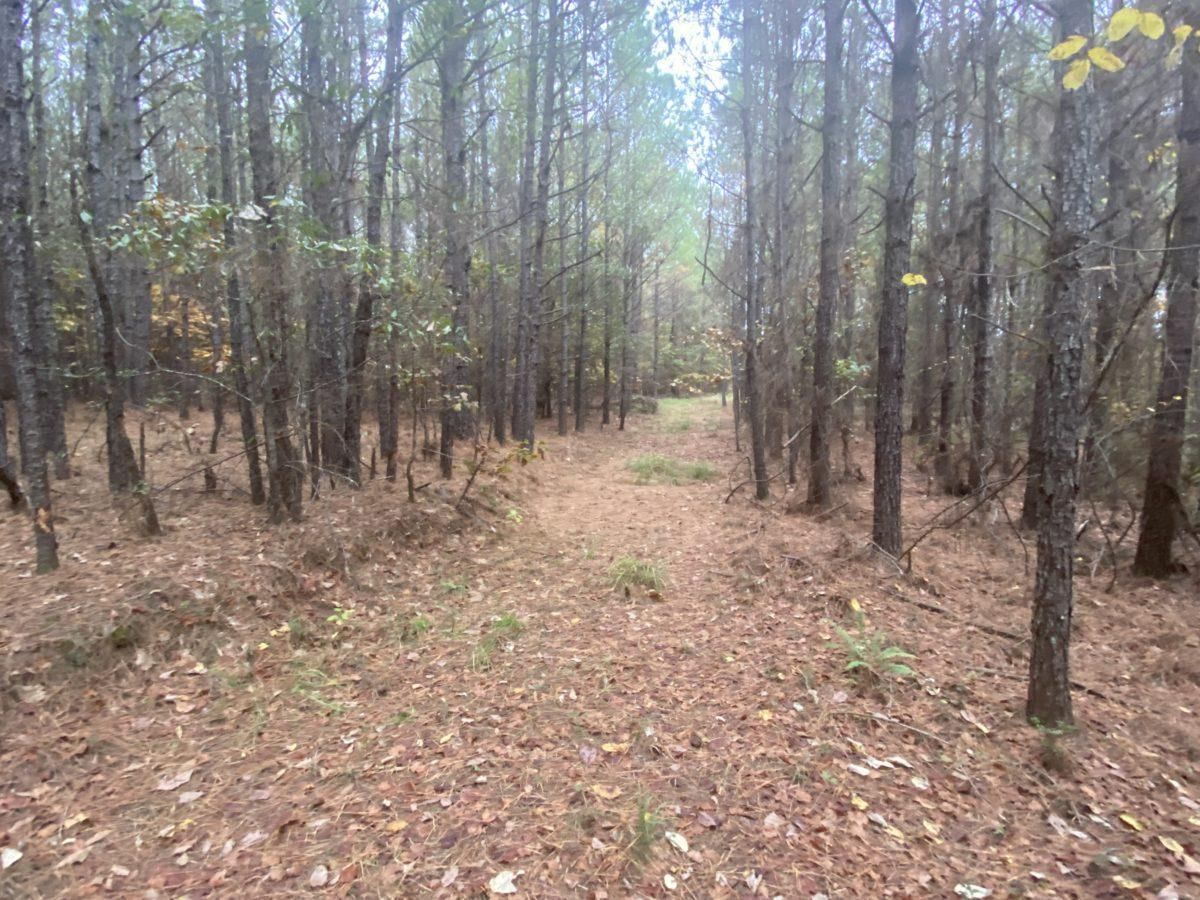 Ackerman, Choctaw County, MS Recreational Property, Timberland Property